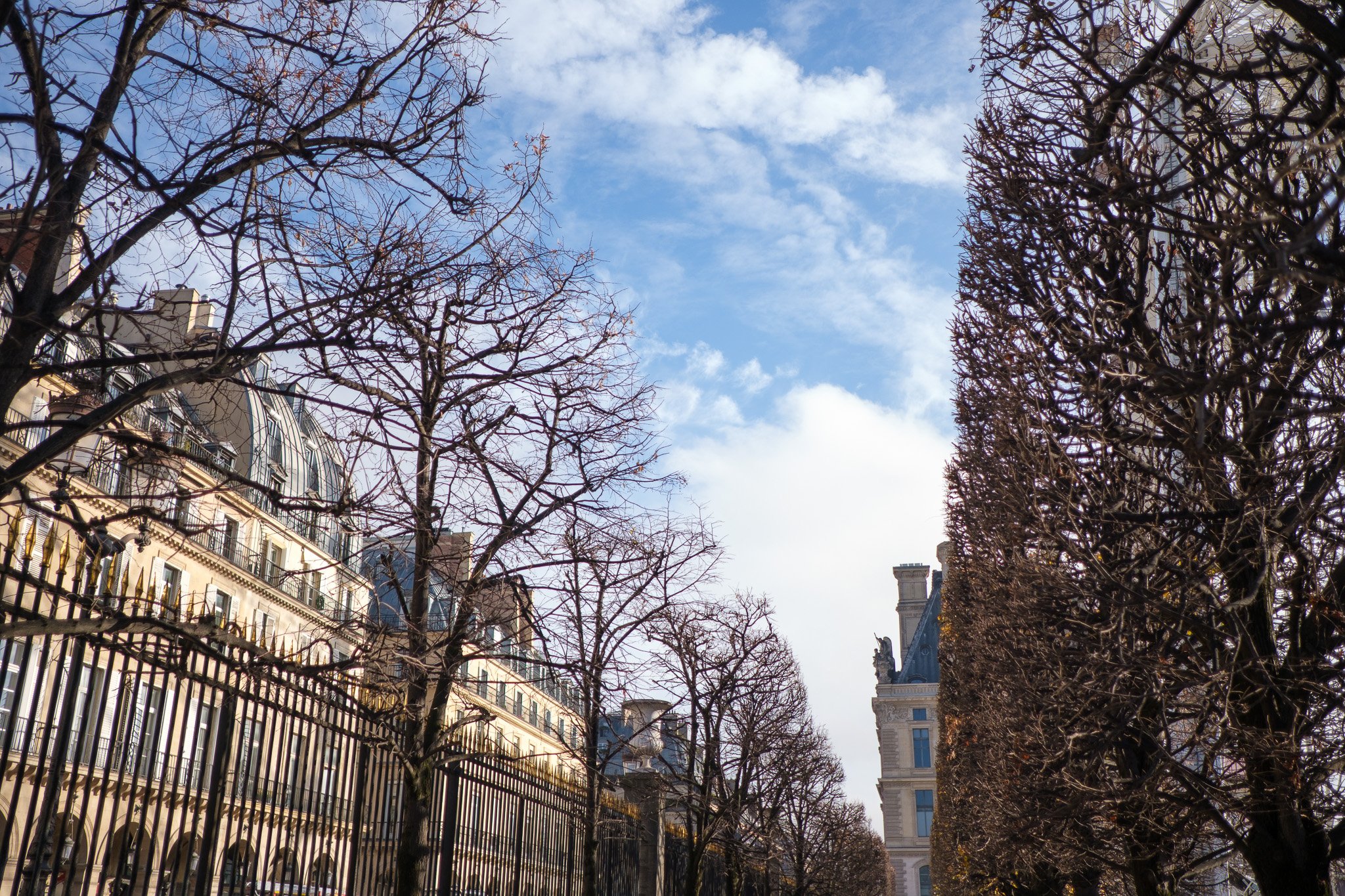 Paris KPL 40 December 2025 Selects-8.jpg