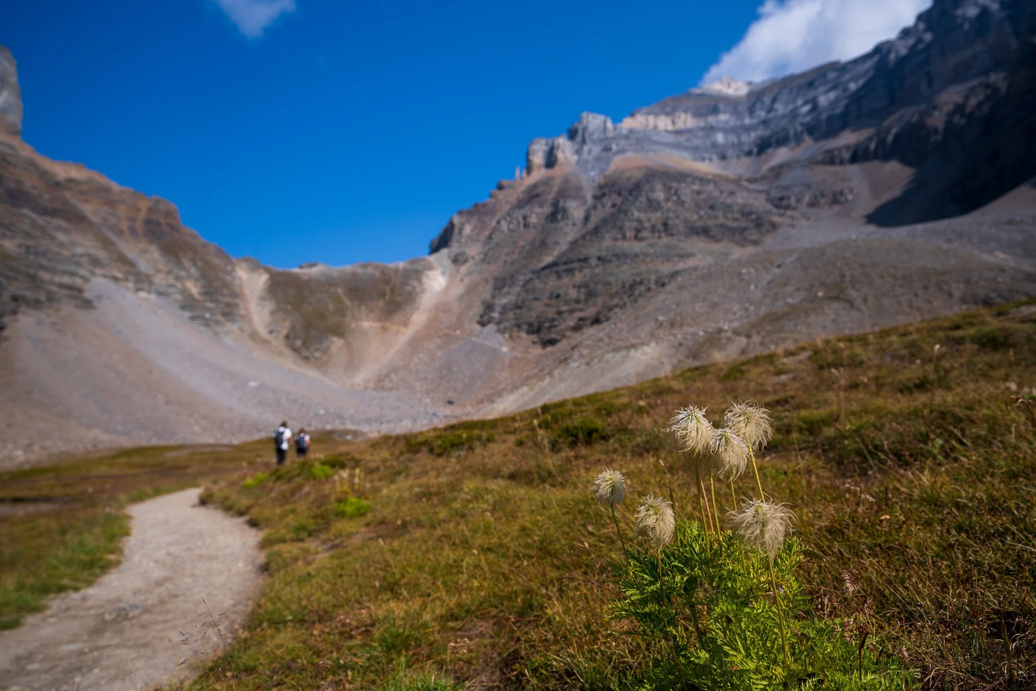 Banff 091325 Moraine Lake _ Larch Valley _ Sentinal Pass PREV 2-24.jpg