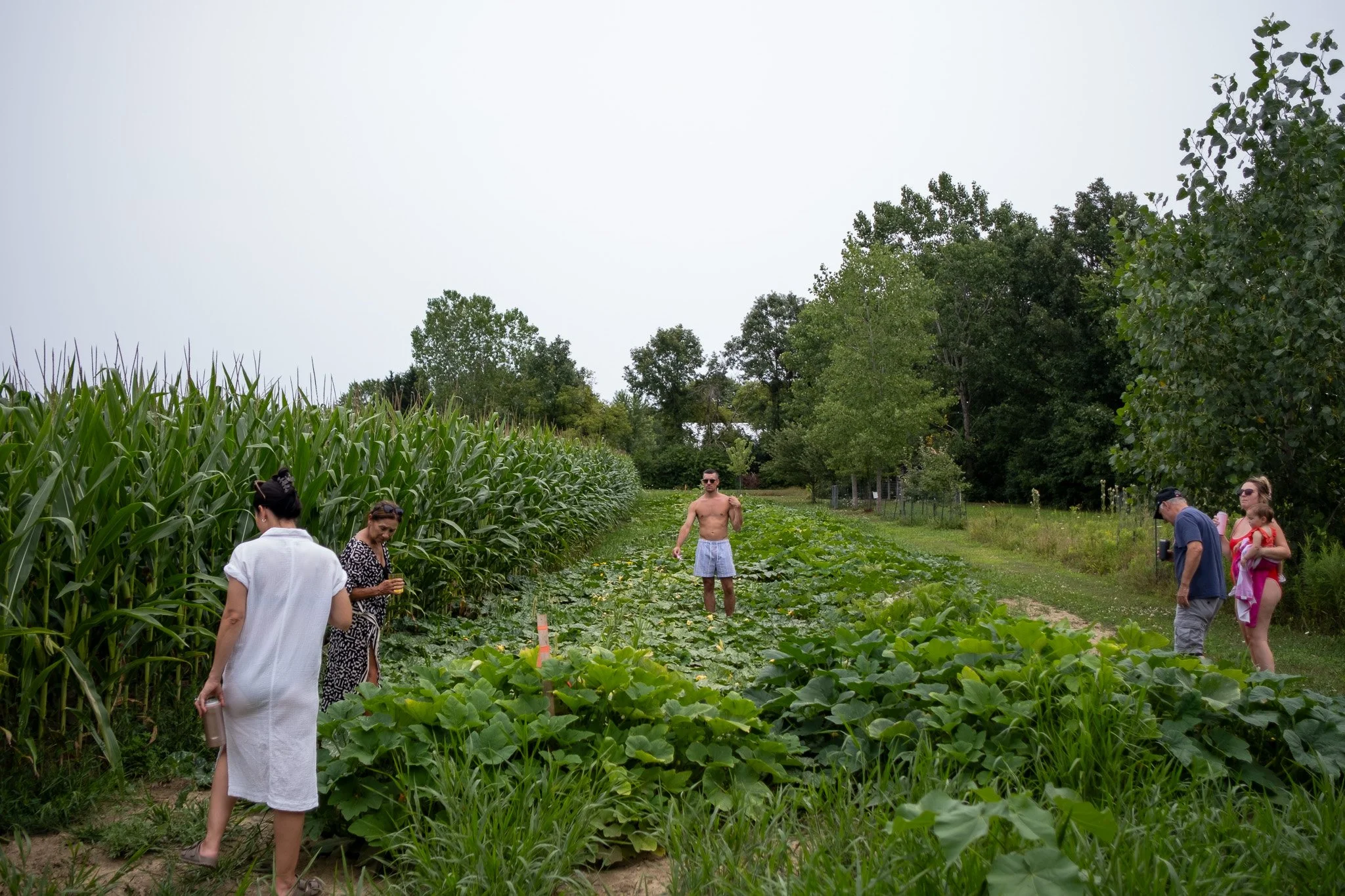 Pool Day Garden Pumpkins 080926-21.jpg