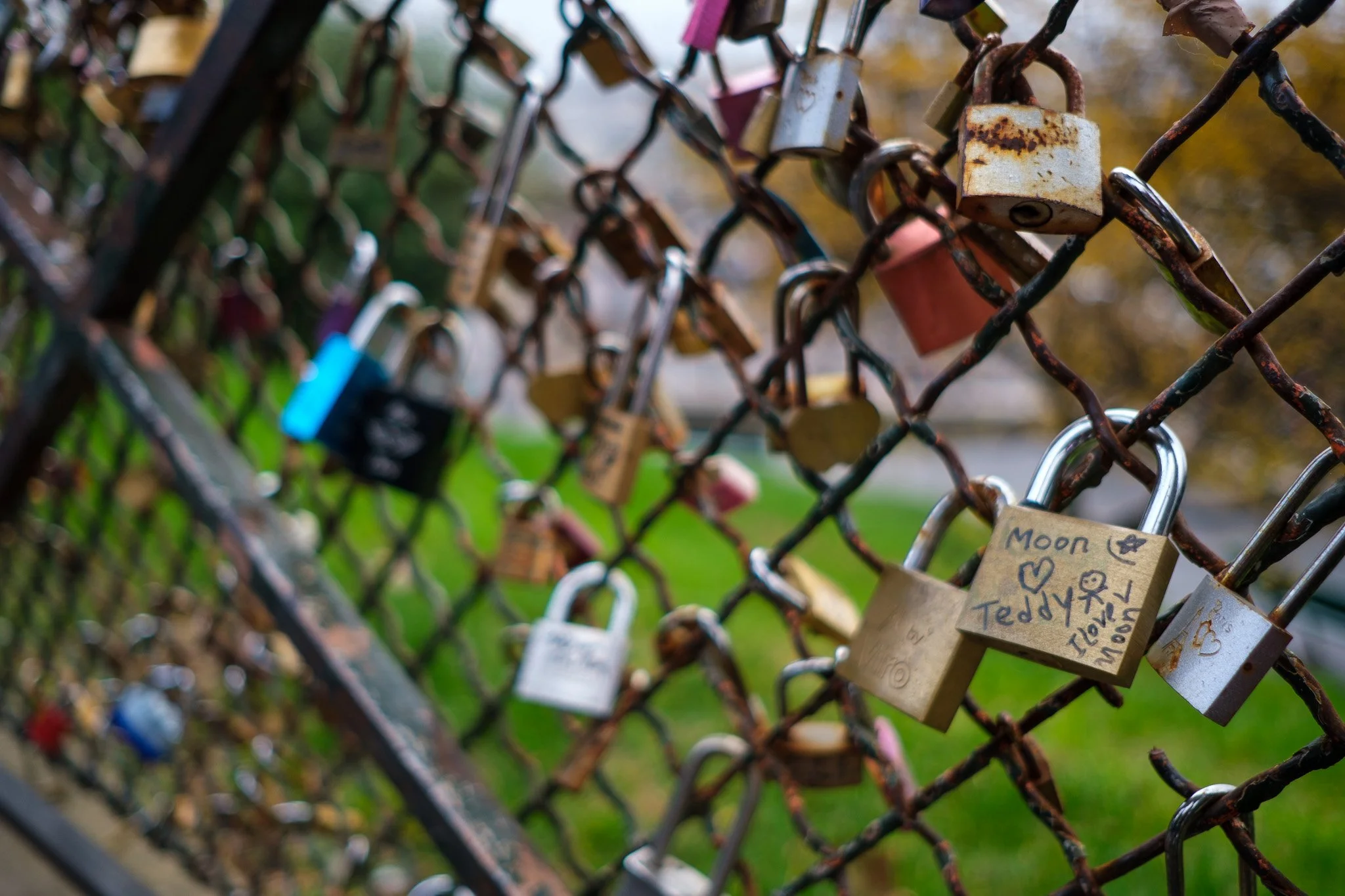 Paris KPL 40 December 2025 Selects-84.jpg