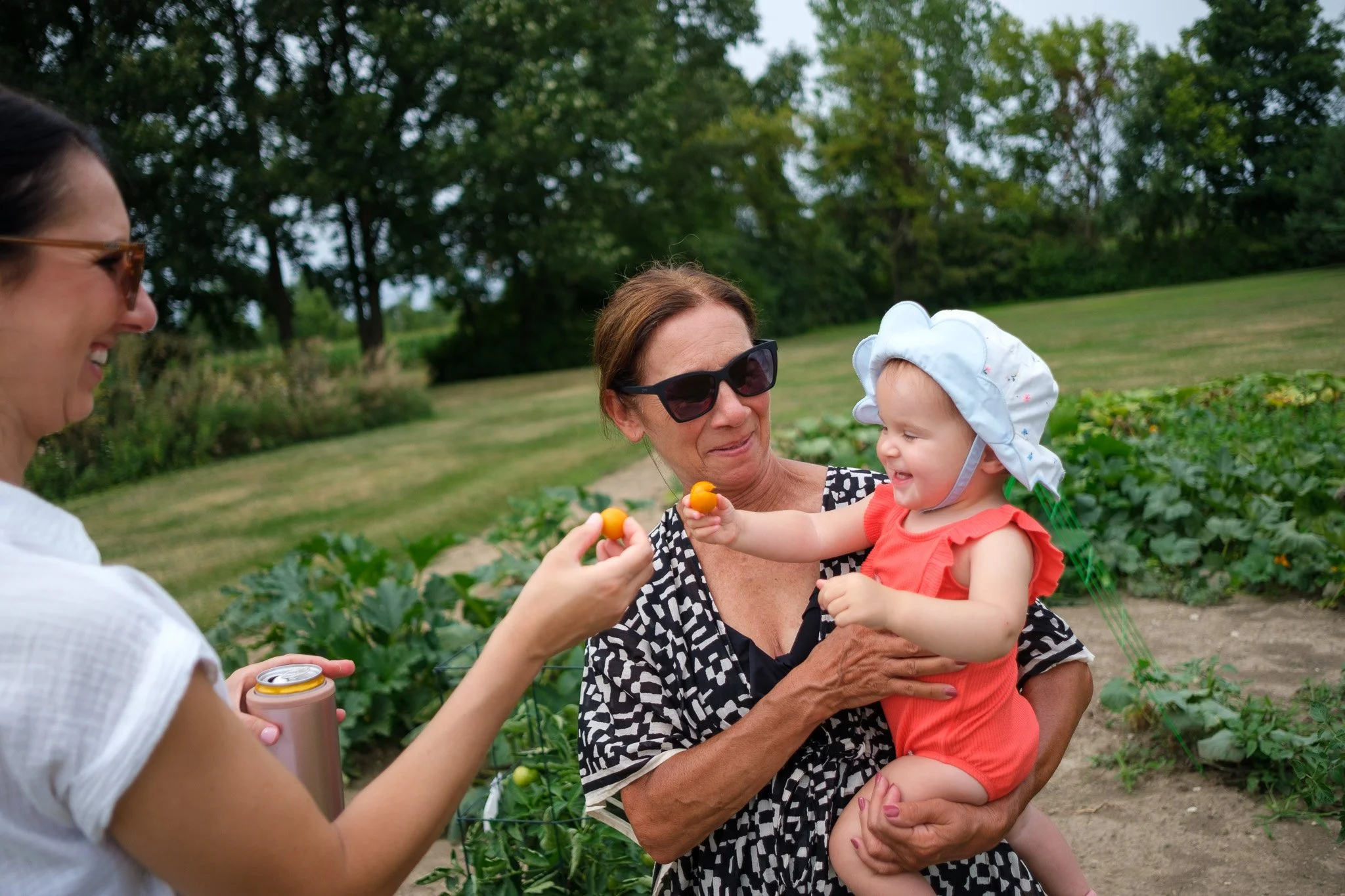 Pool Day Garden Pumpkins 080926-15.jpg