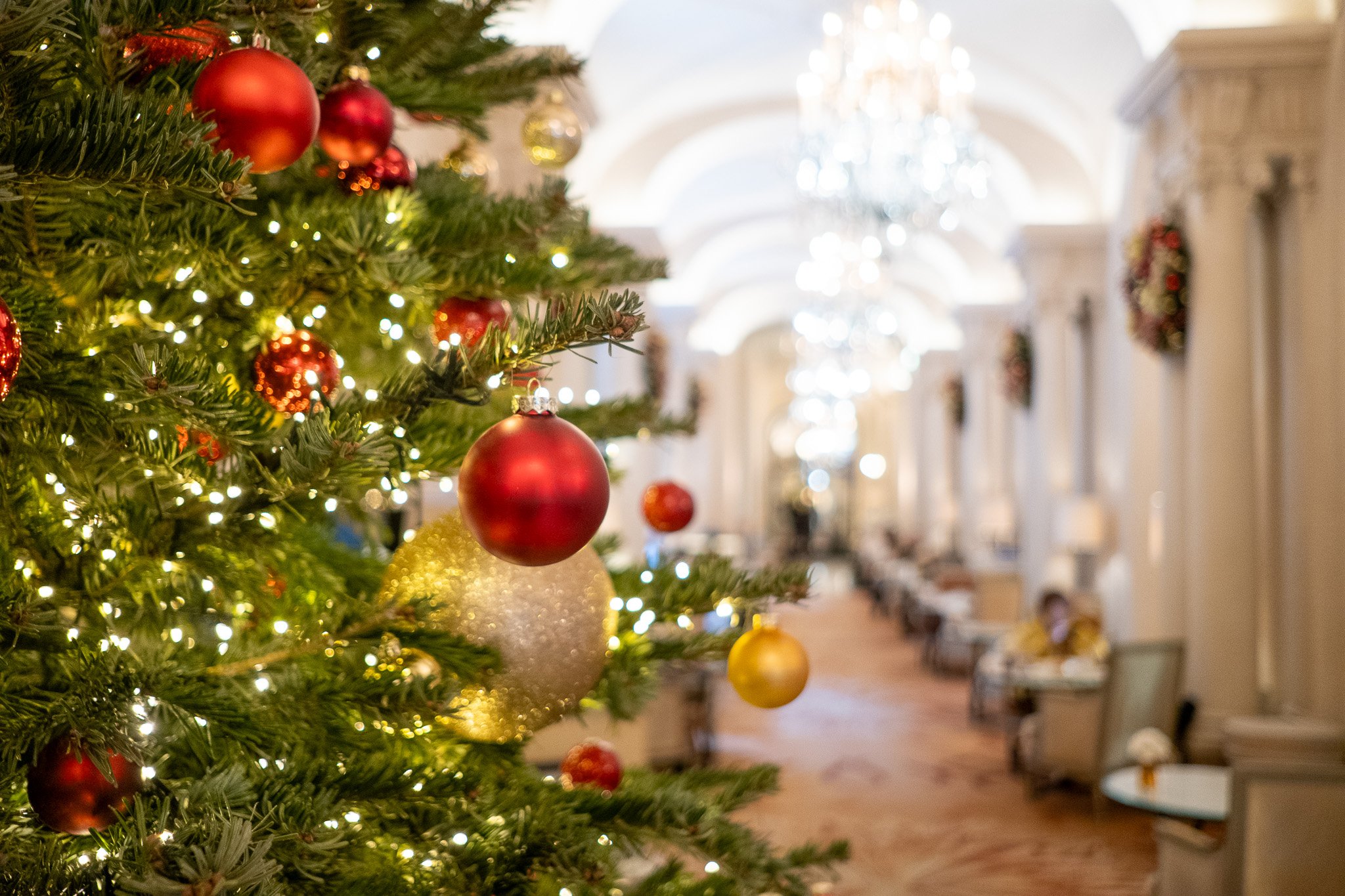 Paris KPL 40 December 2025 Selects-25.jpg