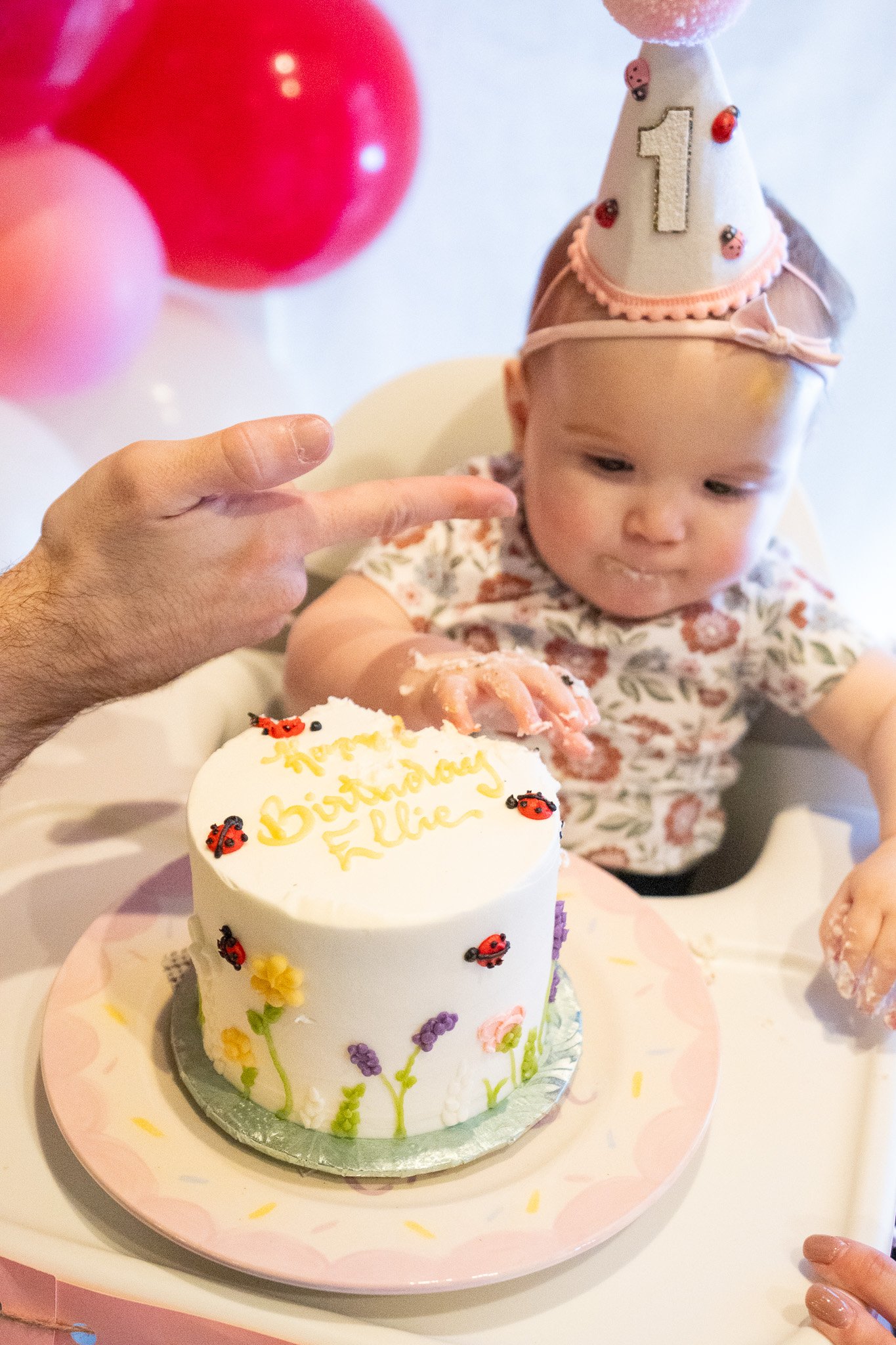 Ellie 021425 Birthday Party-069.jpg