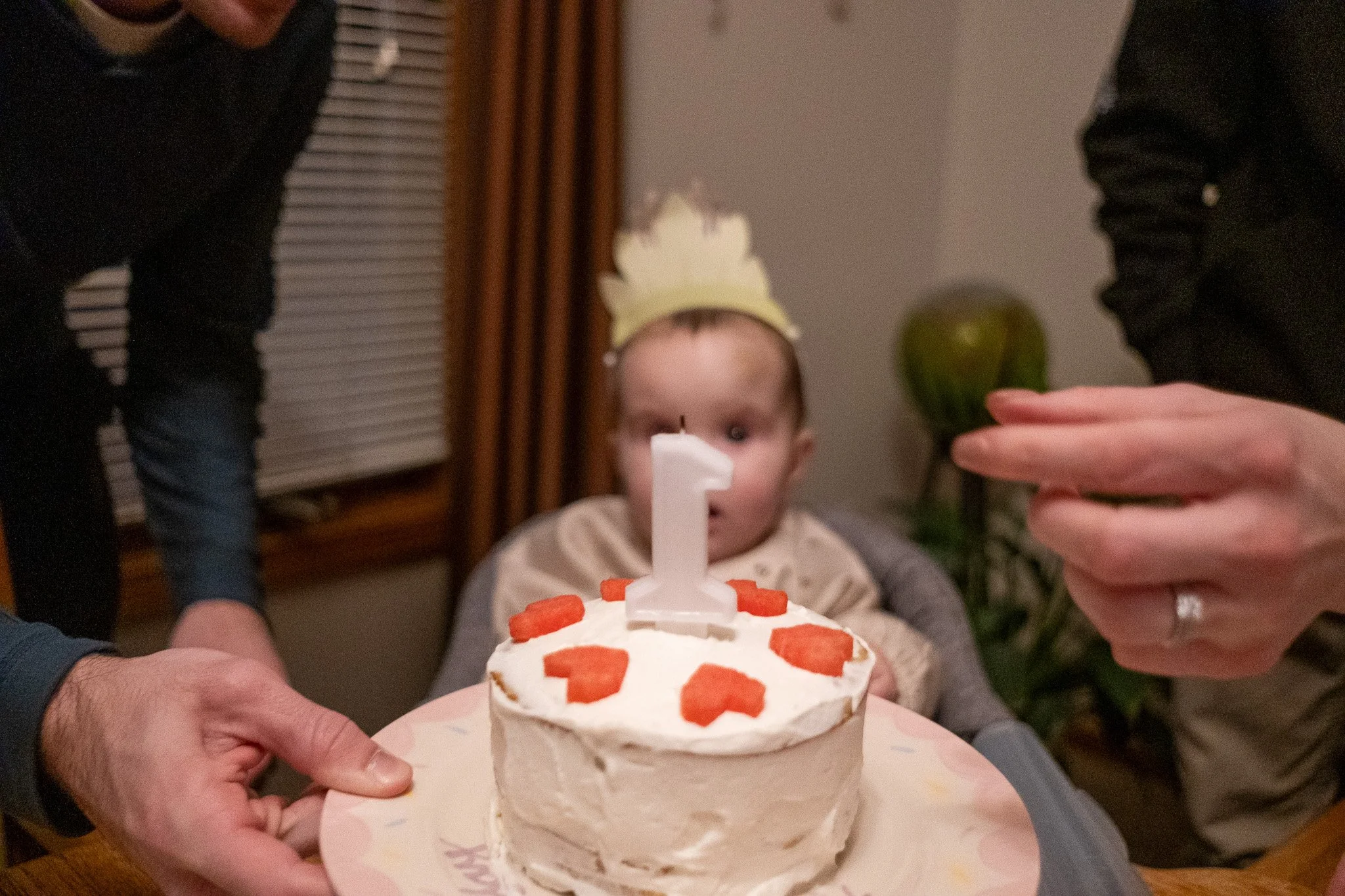 Ellie 021225 1st Birthday-43.jpg