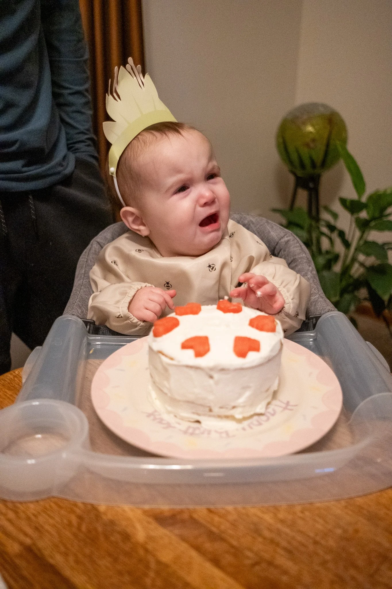 Ellie 021225 1st Birthday-48.jpg