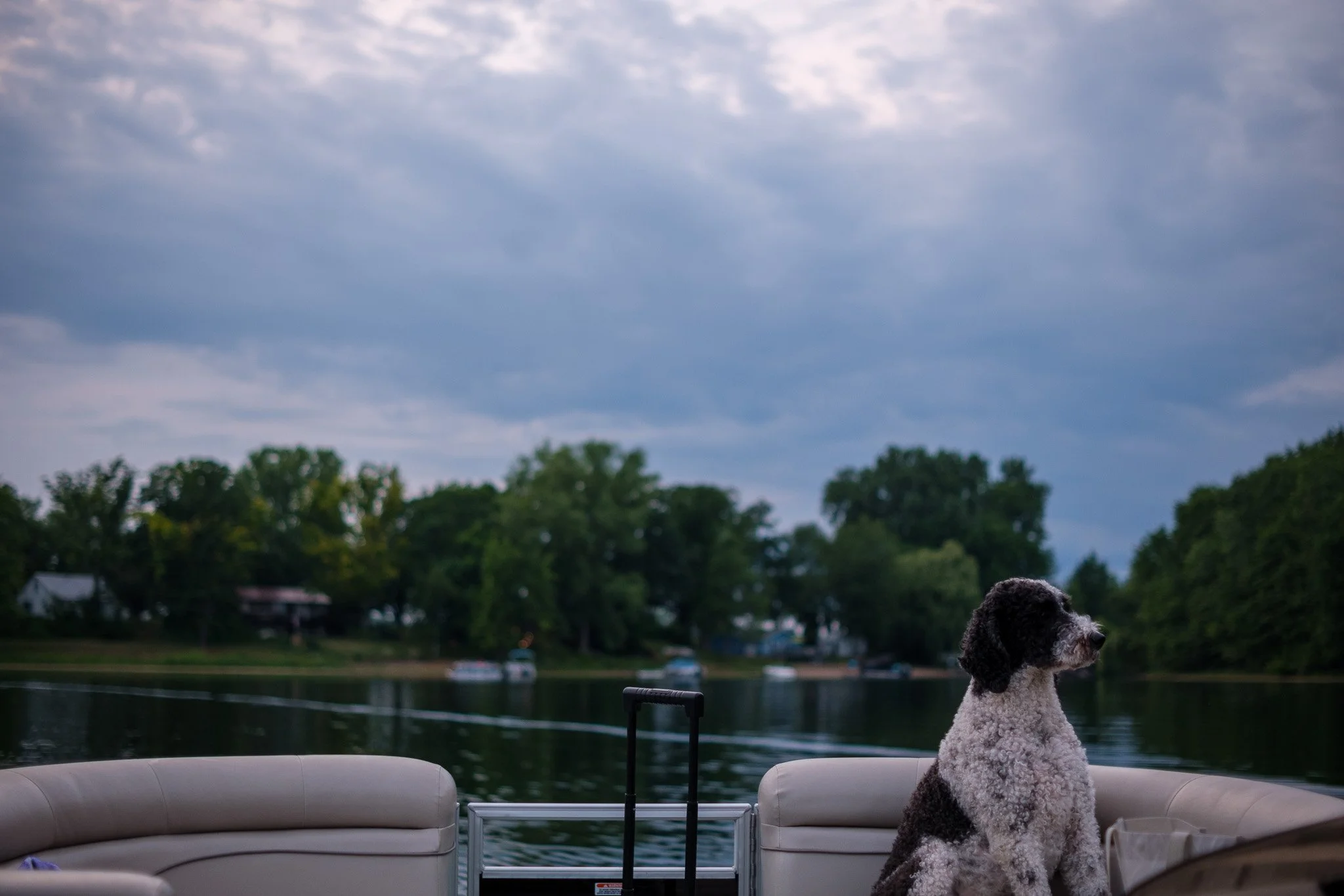 Cowden Lake - July 2025-016.jpg