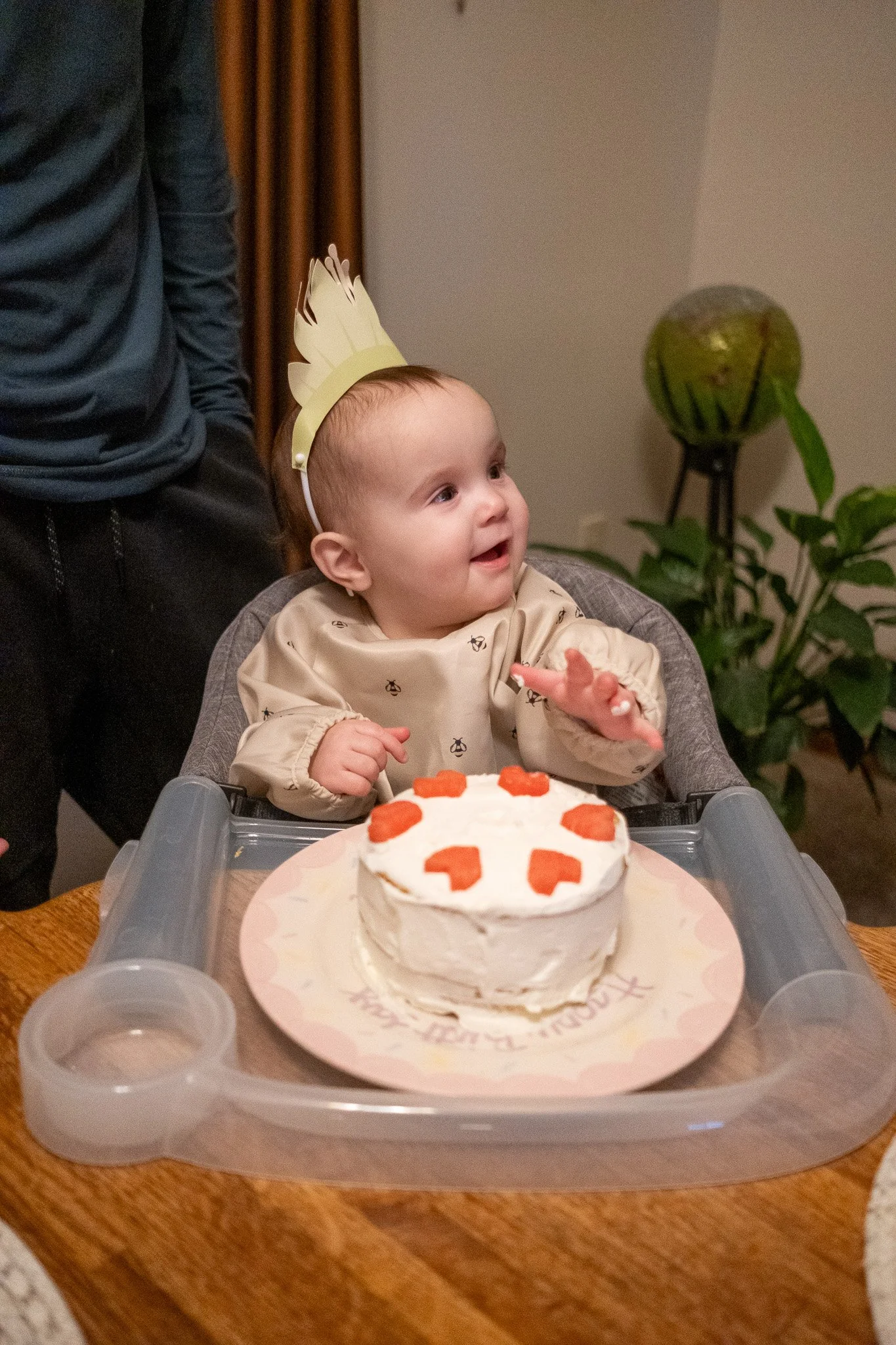 Ellie 021225 1st Birthday-47.jpg