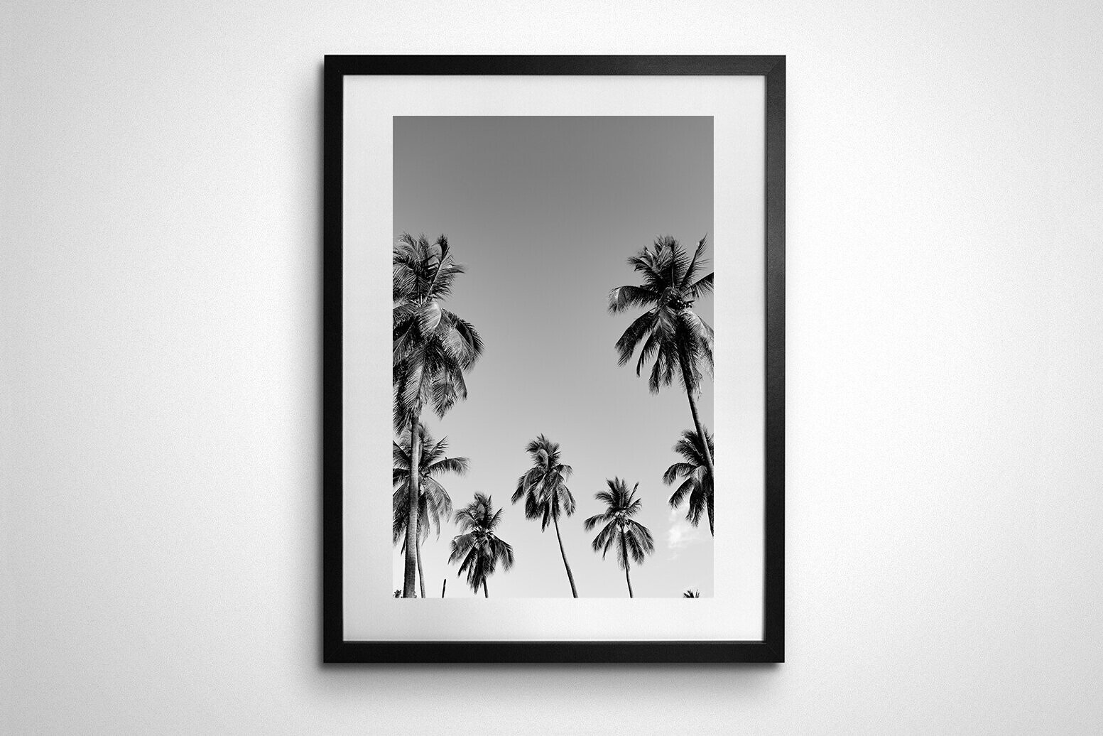 palmeras-troncones-cuadro.jpg