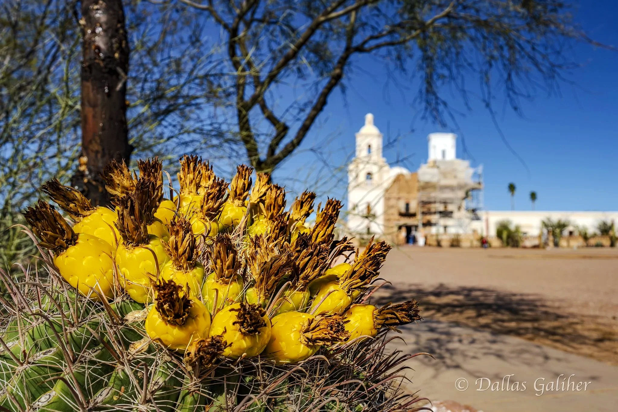 San Xavier del Bac Mission Tuscon Az.