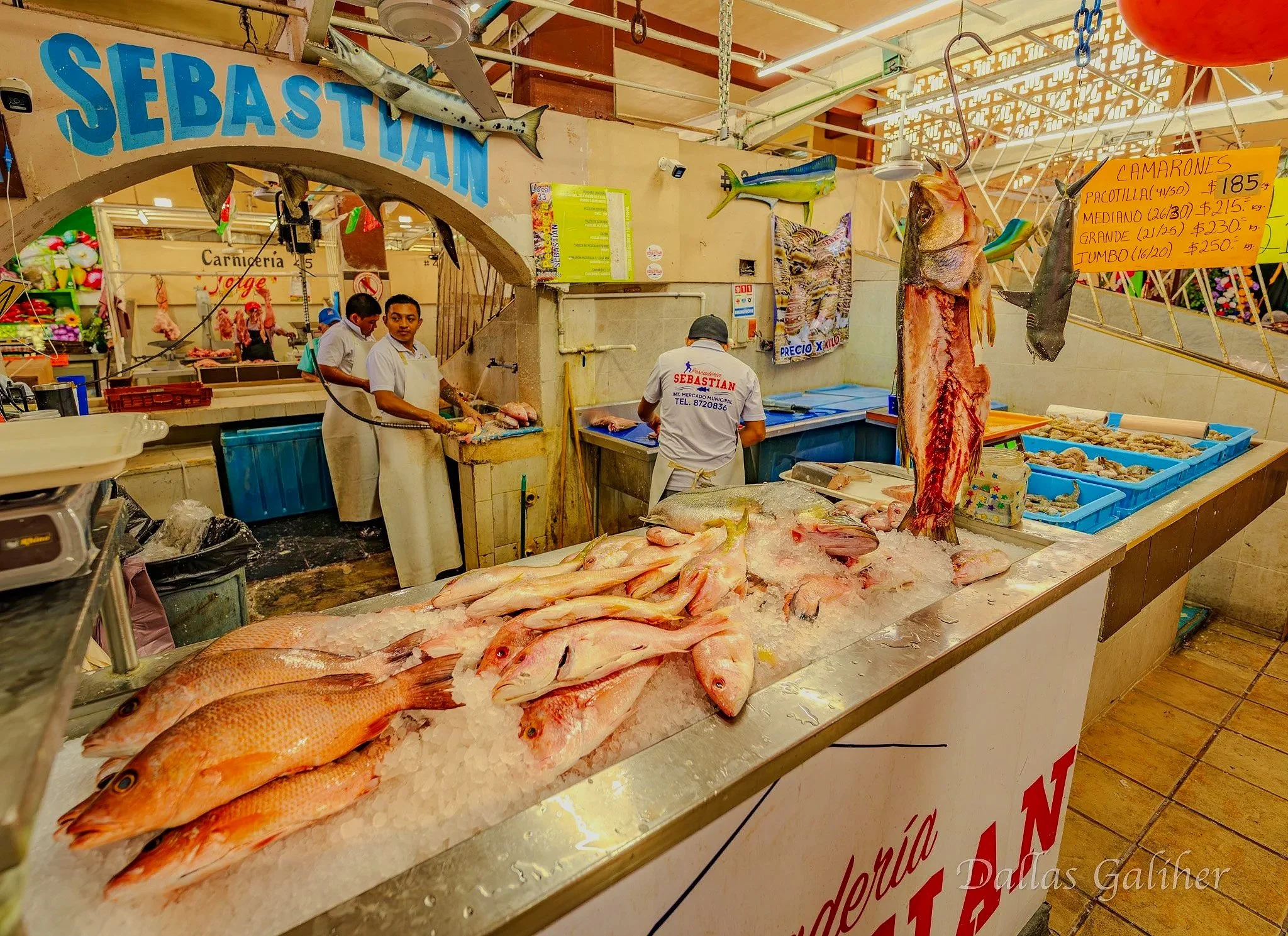 Mercado Municipal Cozumel