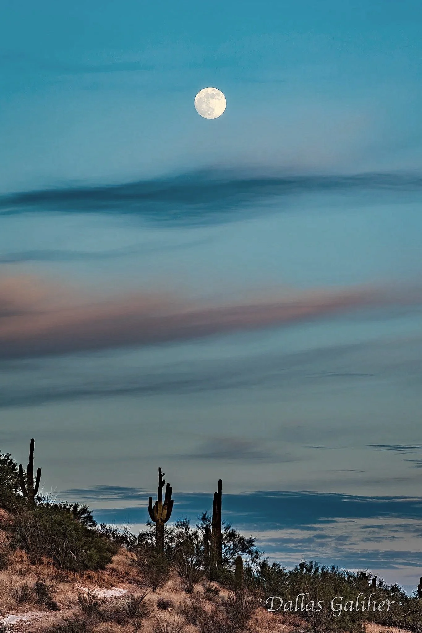 Tucson Moonrise
