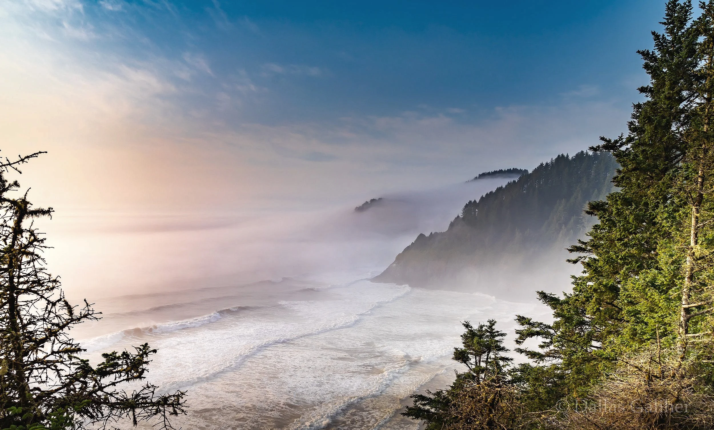 Foggy Oregon Coast