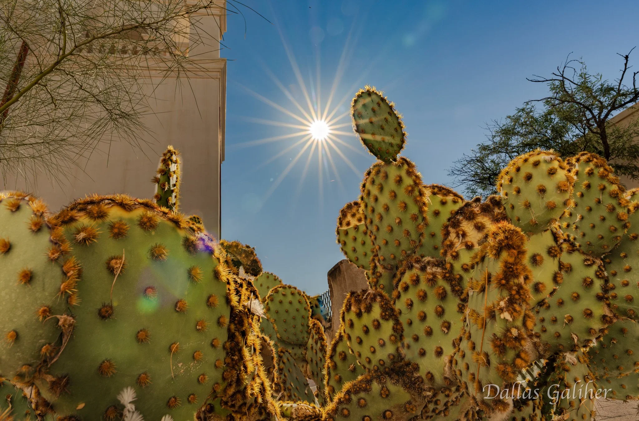 San Xavier del Bac Mission Tucson Az.