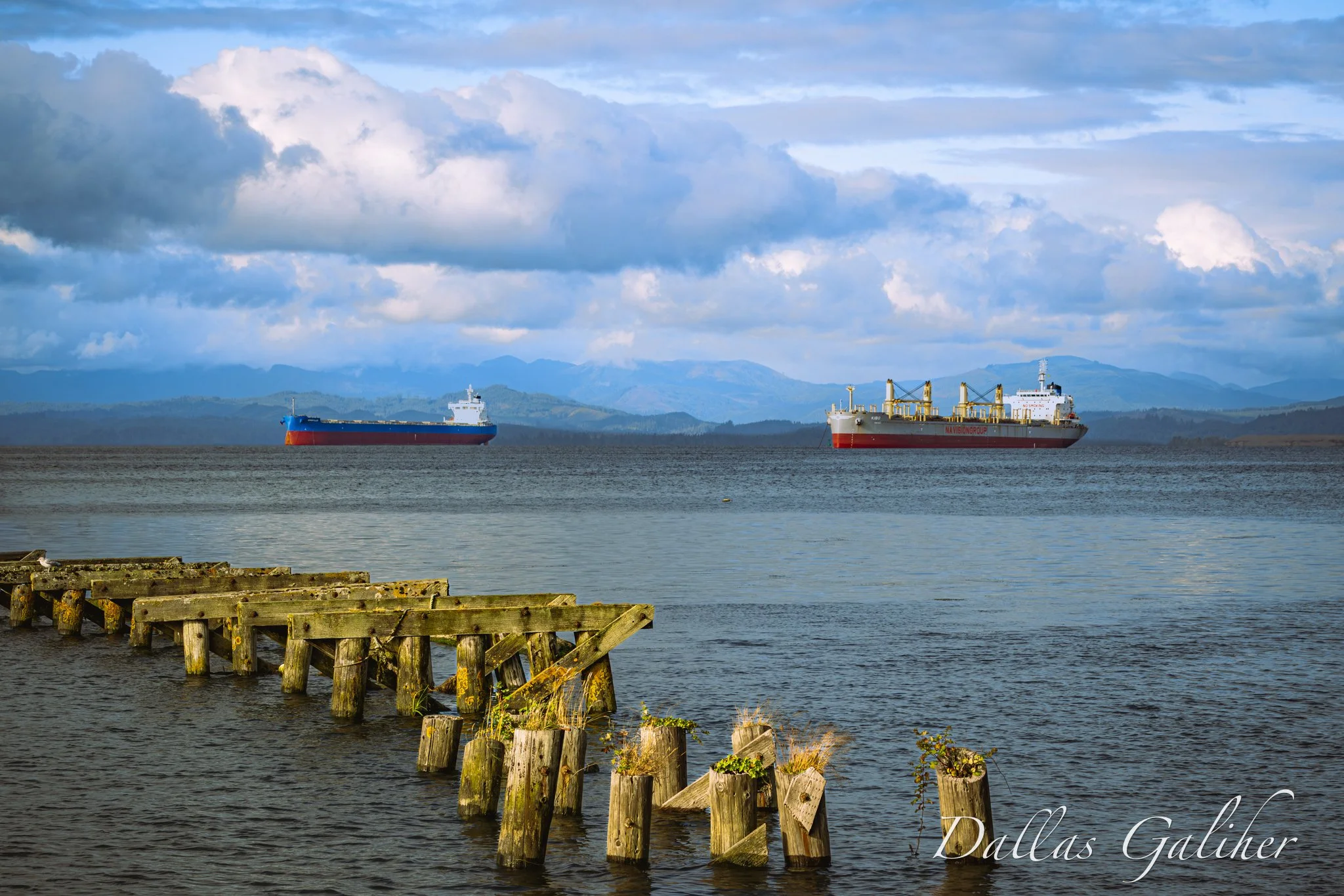 Astoria freighters