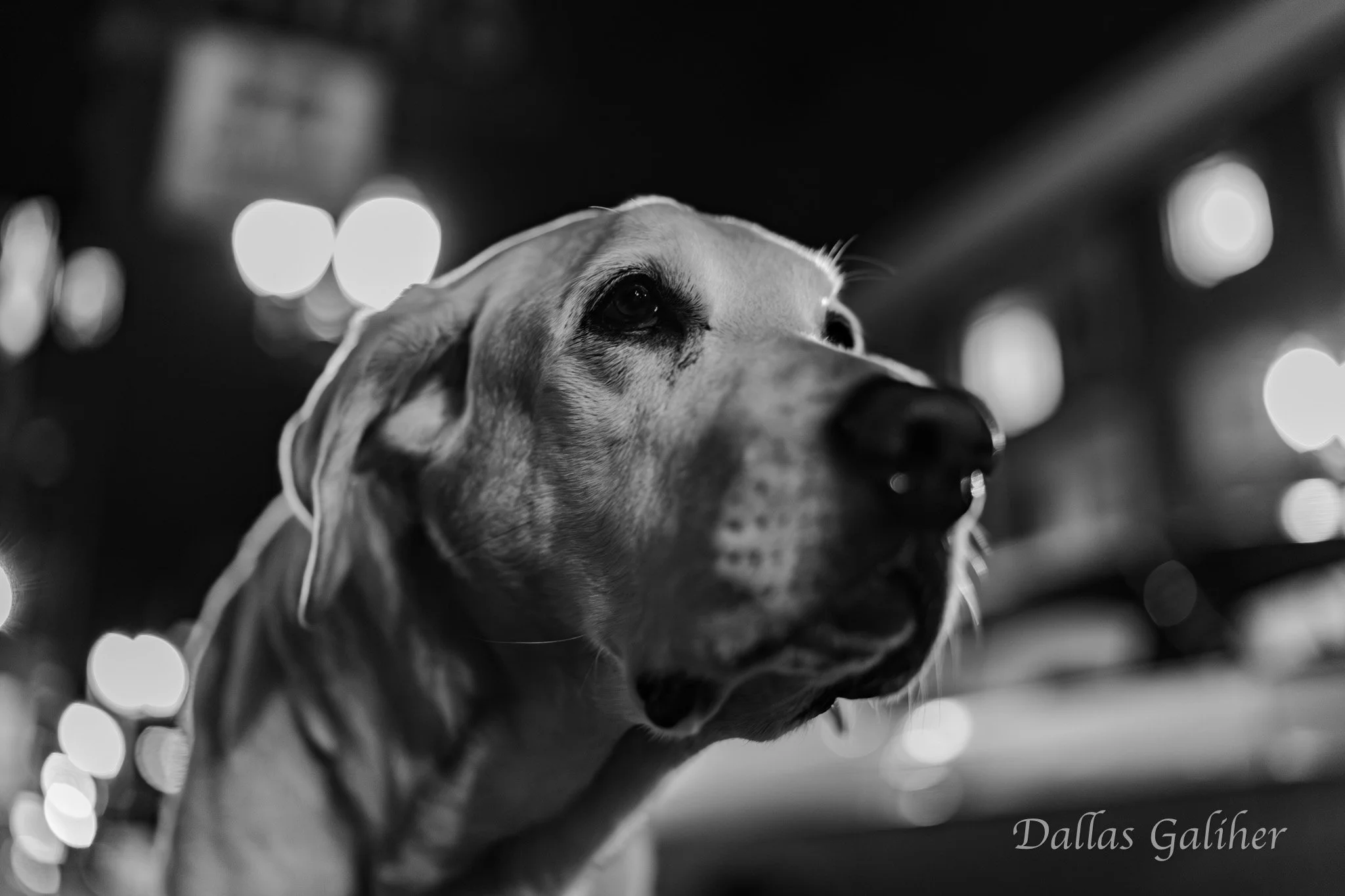 Butters downtown PDX