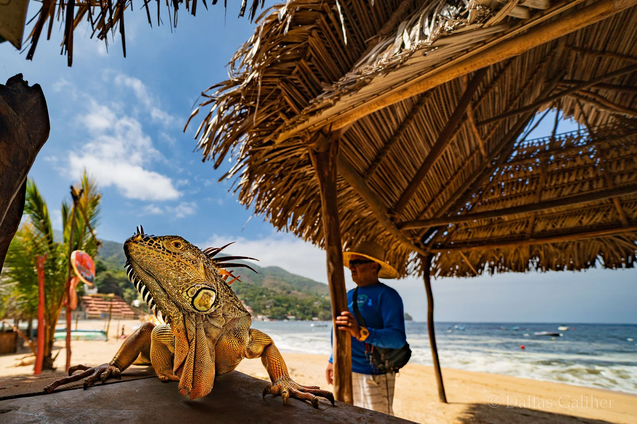 Pedro from Yelapa #3