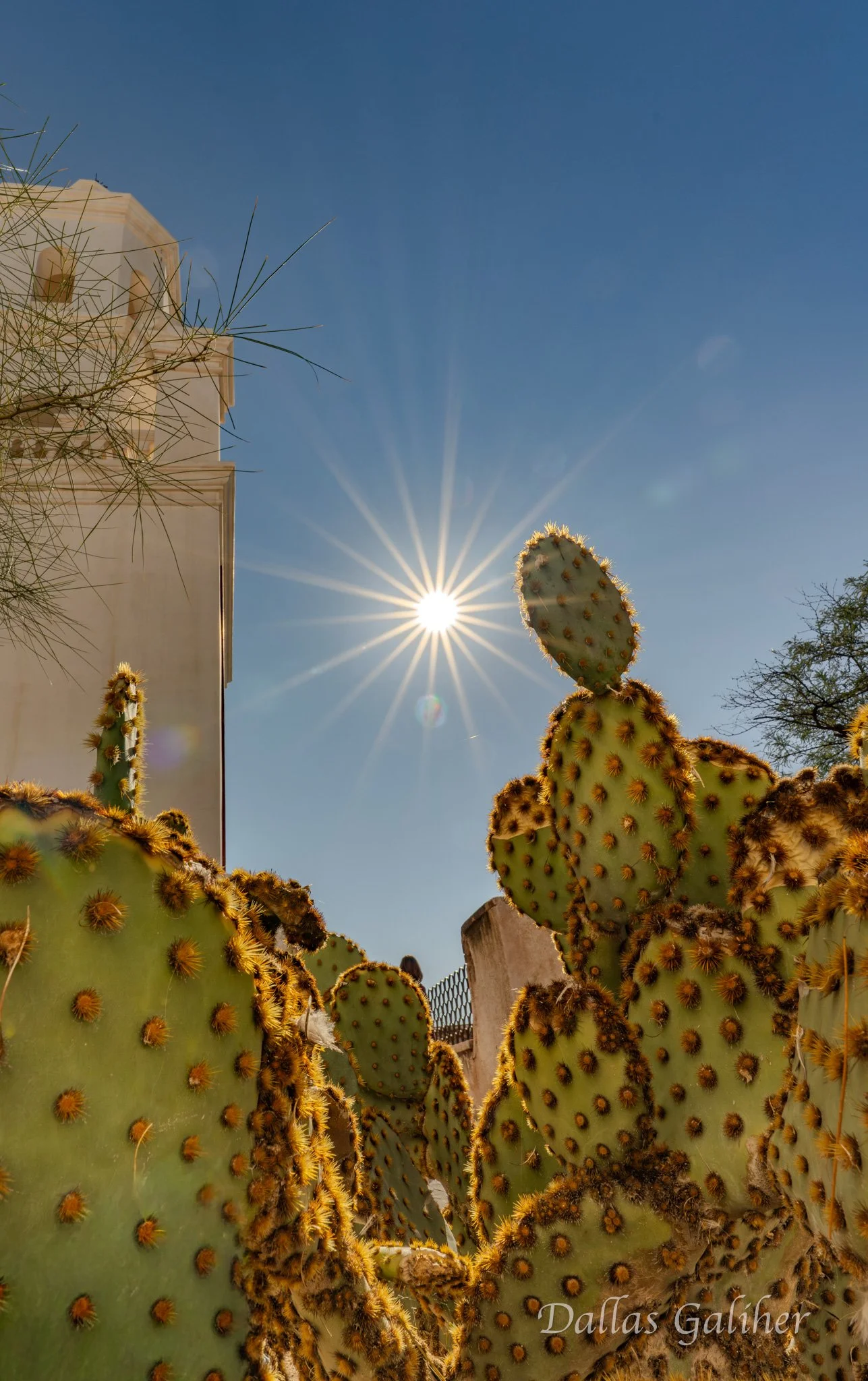 San Xavier del Bac Mission Tucson Az.