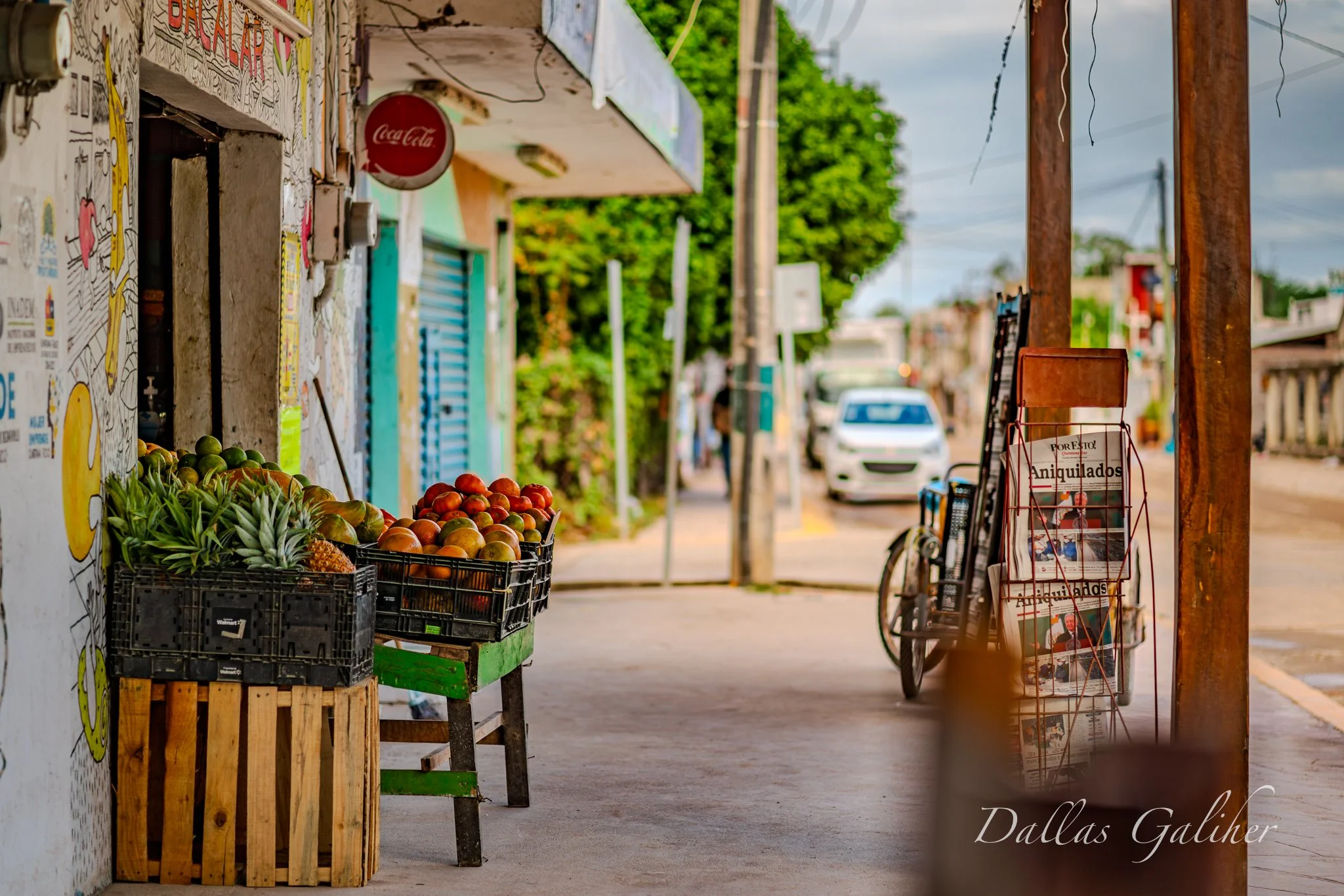 Bacalar Mercado Quintana Roo