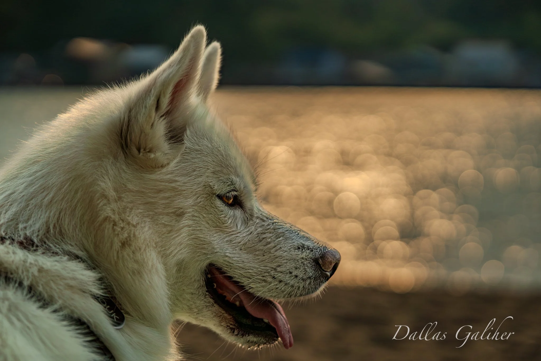 Anouk Willamette River