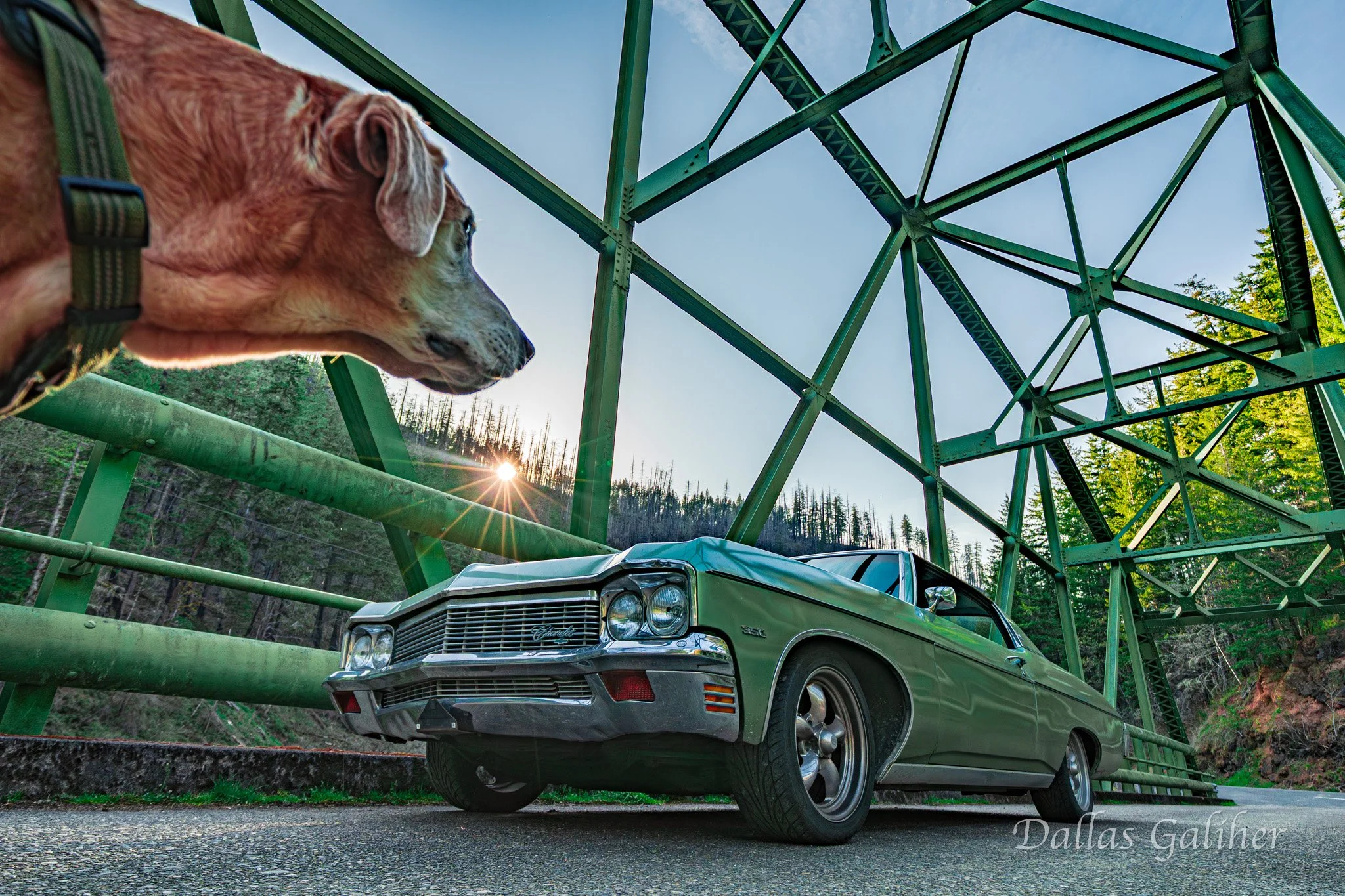 Butters at the Clackamas river