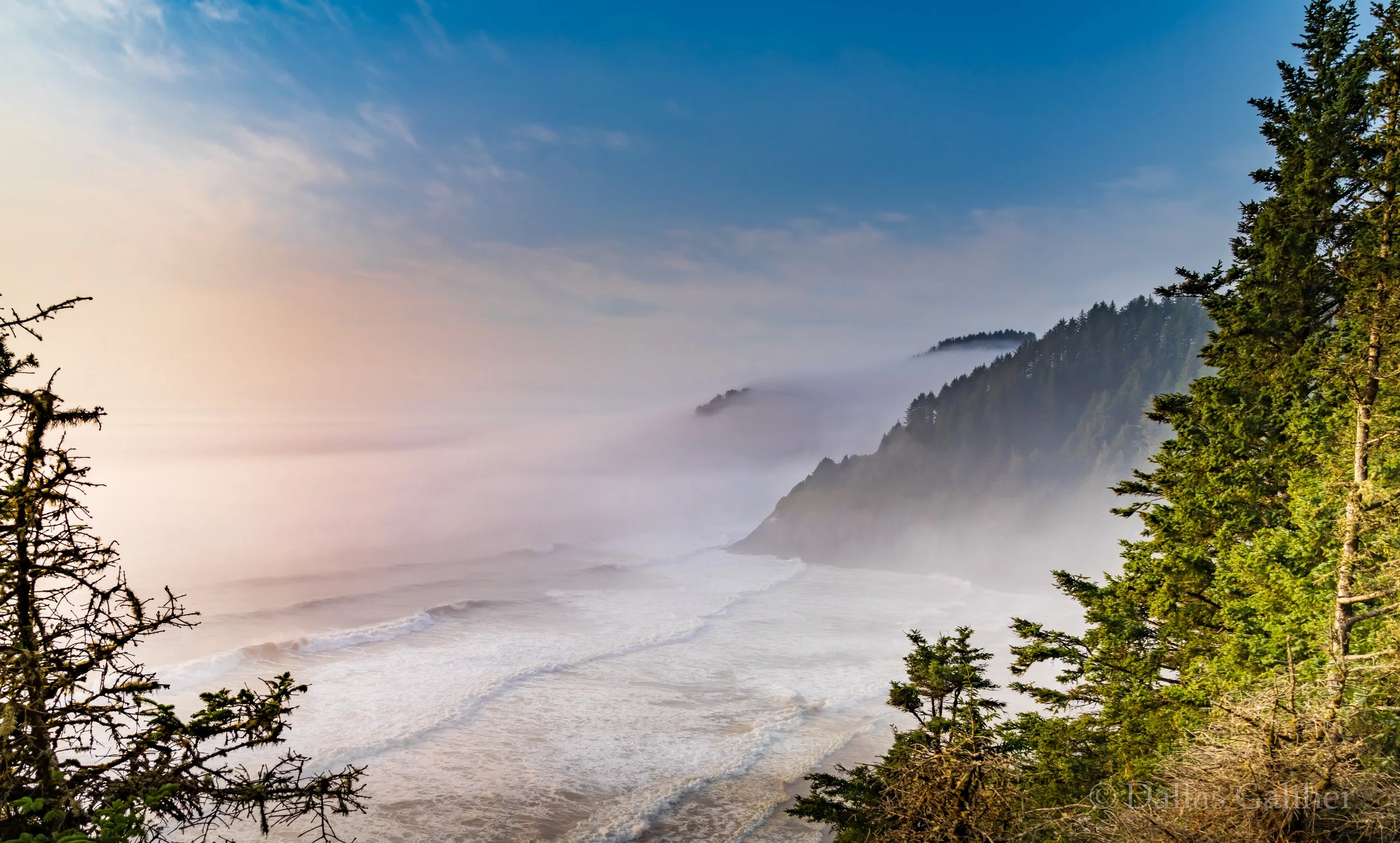 Foggy Oregon Coast