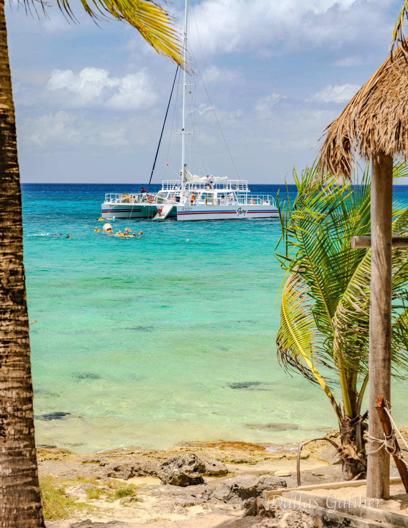 Cozumel snorkeling near "Money Bar"