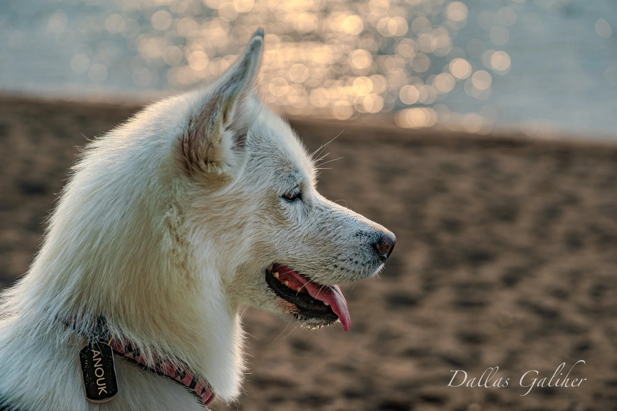 Anouk Willamette River