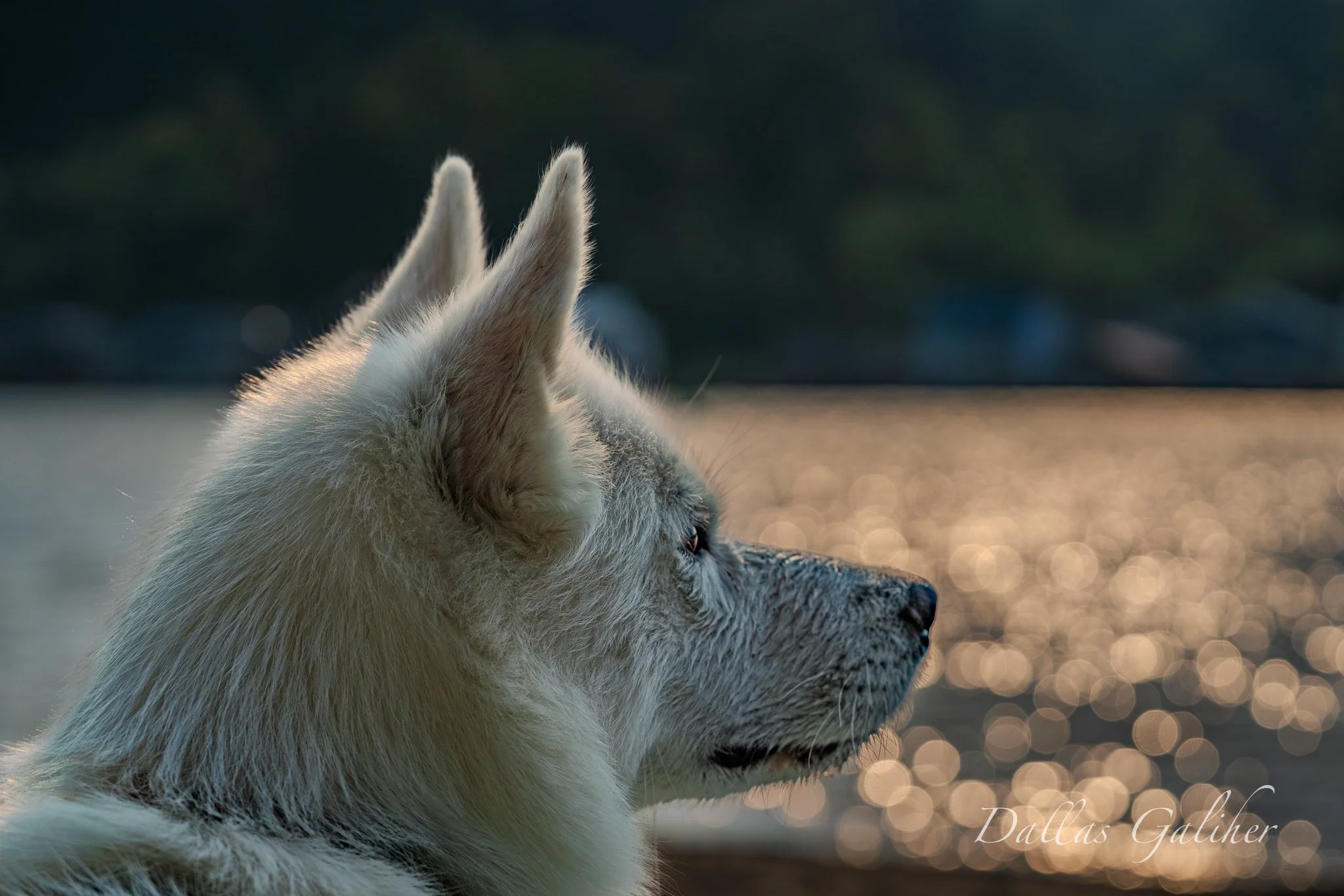 Anouk Willamette River