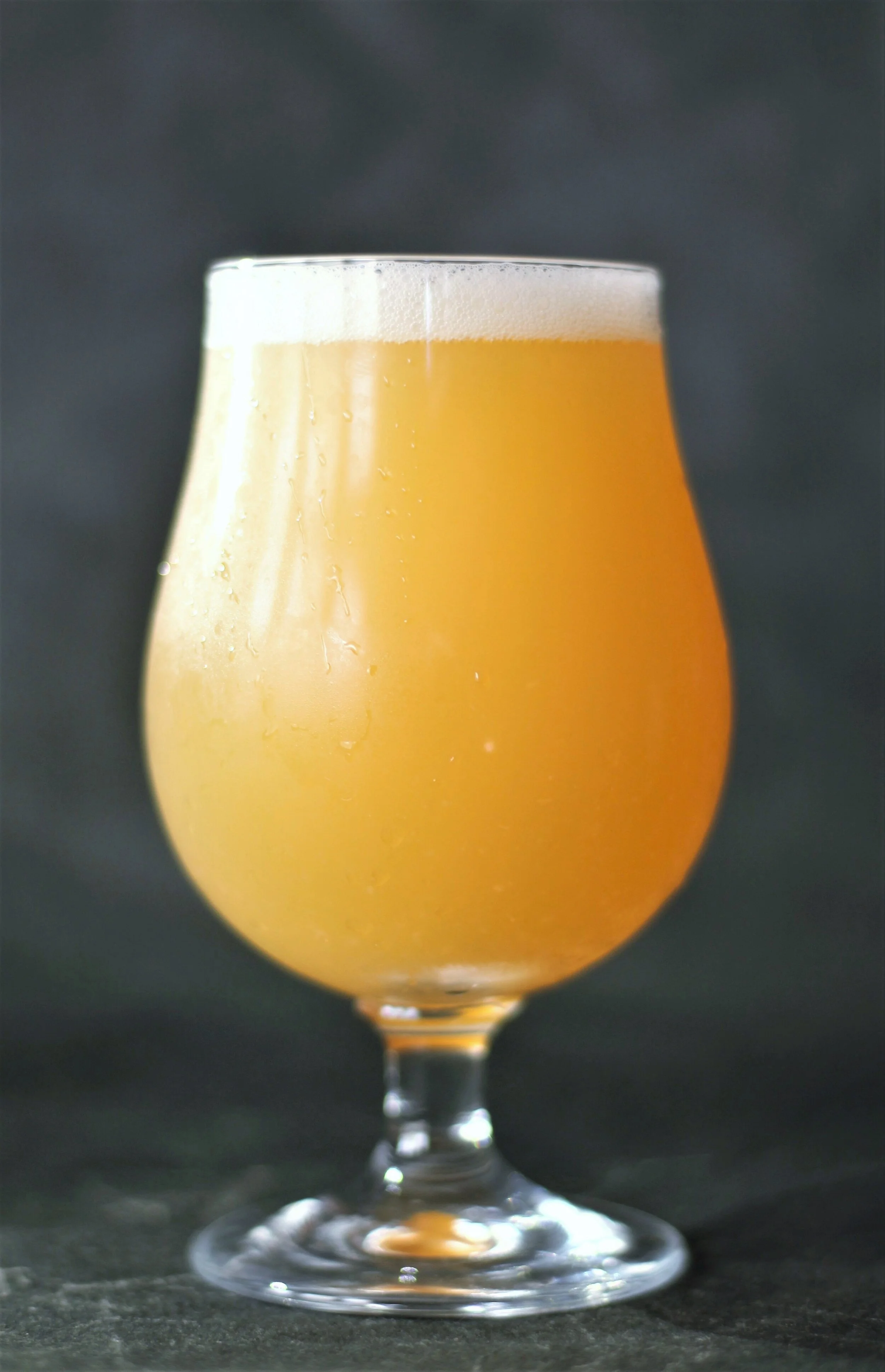 How to host a beer tasting at home — Bean to Barstool