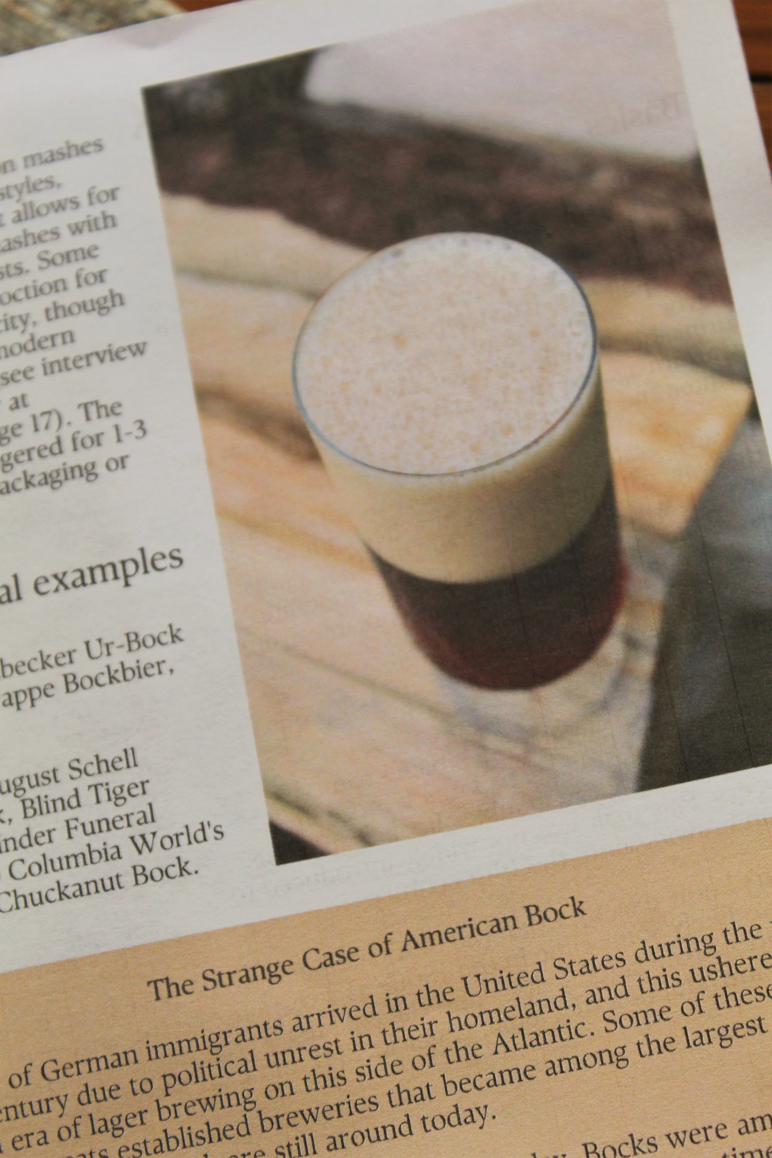 Guide to Bock Beer Styles Zine — Bean to Barstool