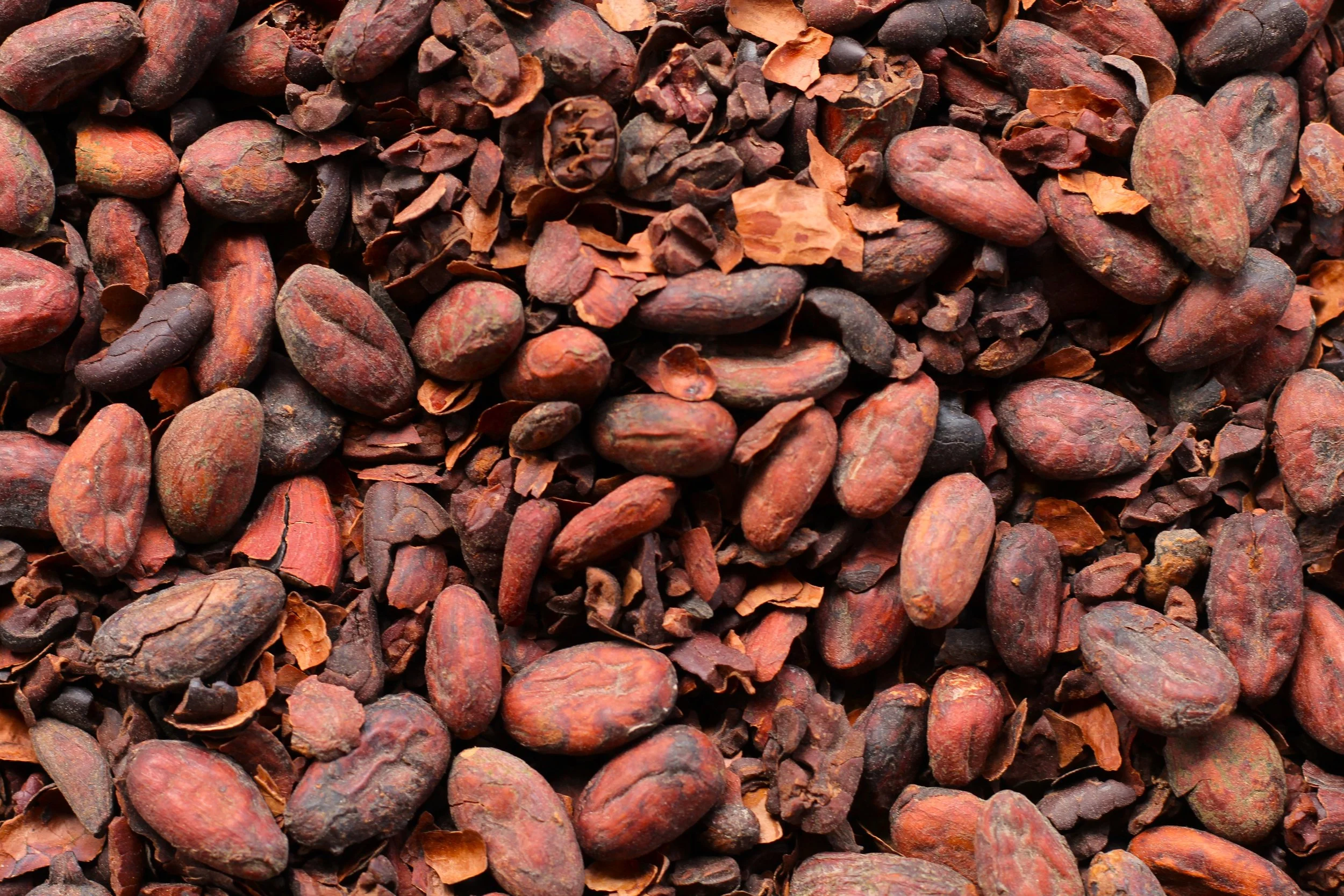 Collaboration Case Study: Estelle Tracy on Educators Partnering with Craft Chocolate Makers