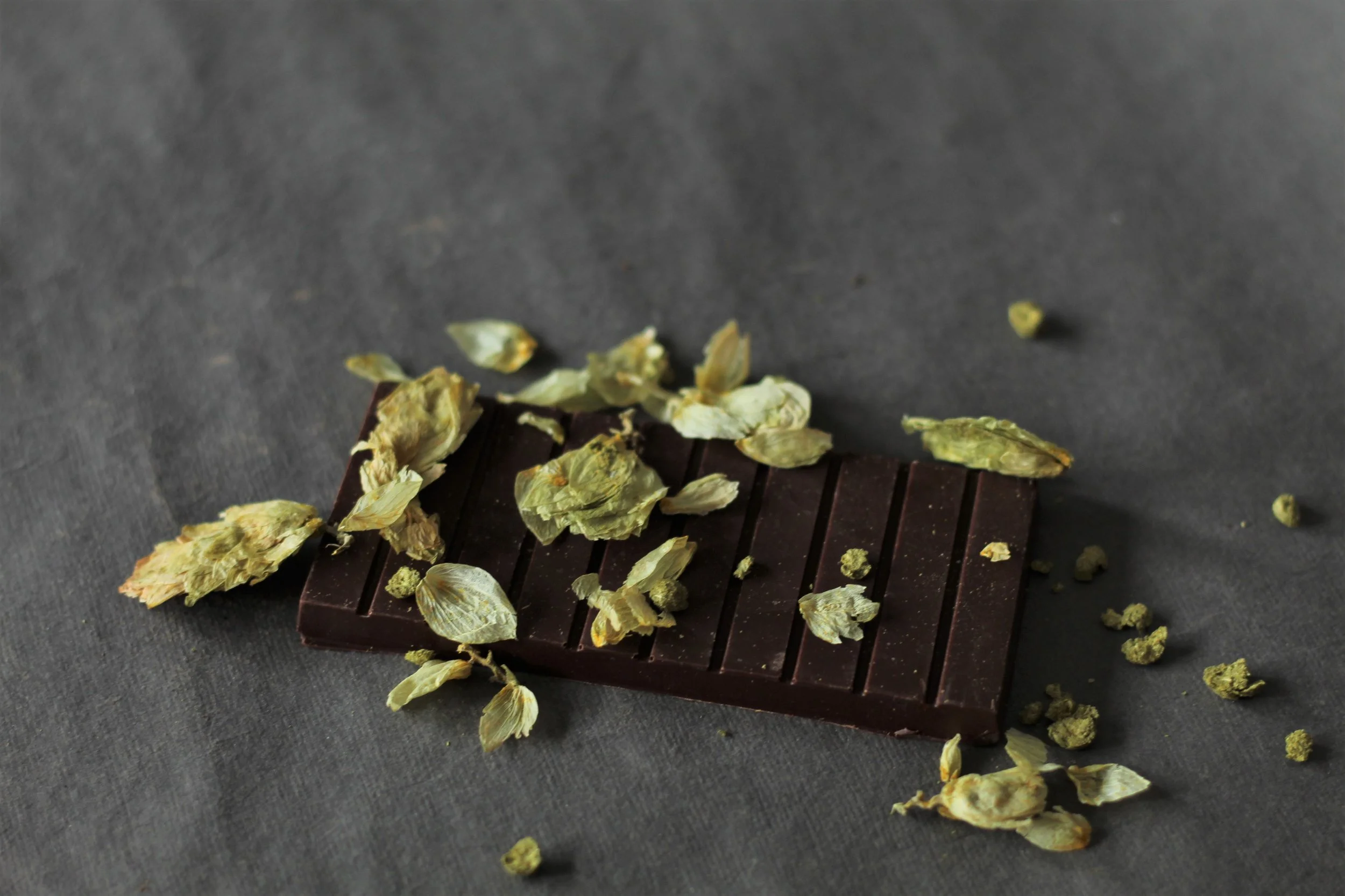 Tyler Cagwin of Nostalgia Chocolates on Selling Cacao to Breweries