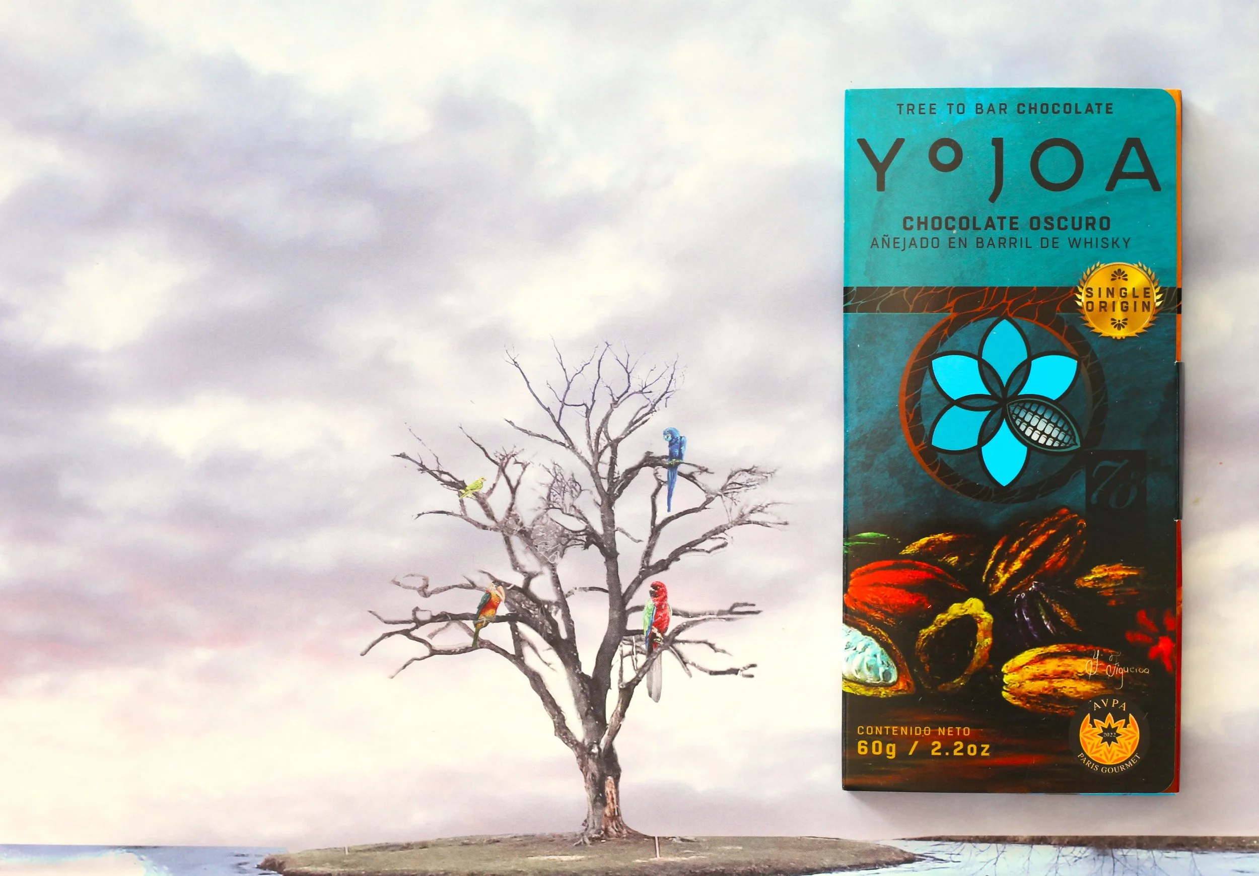 Elmer Pineda of Yojoa Chocolate in Honduras