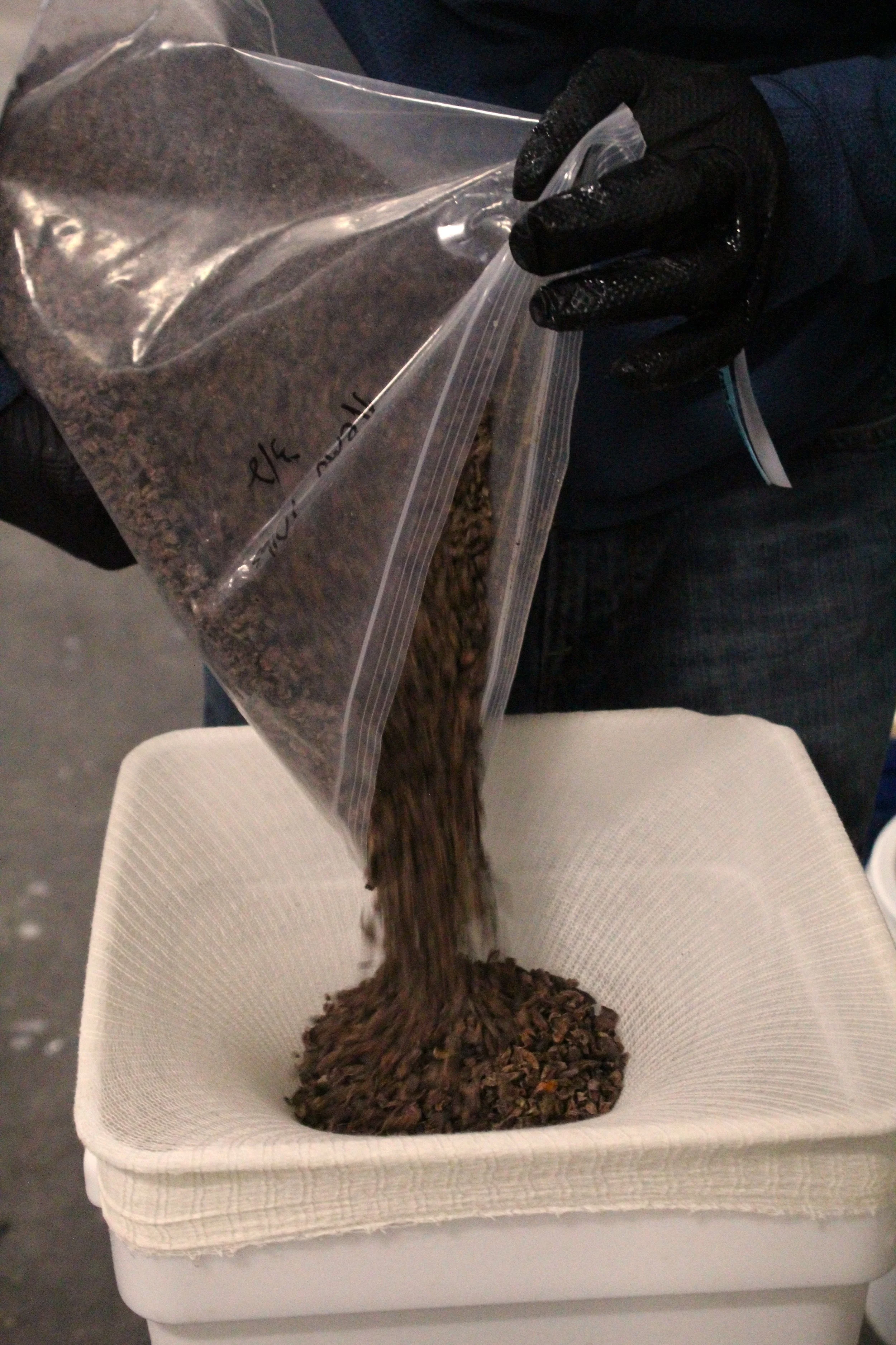 Third Eye Double Astral brewday 20260309 (16).JPG