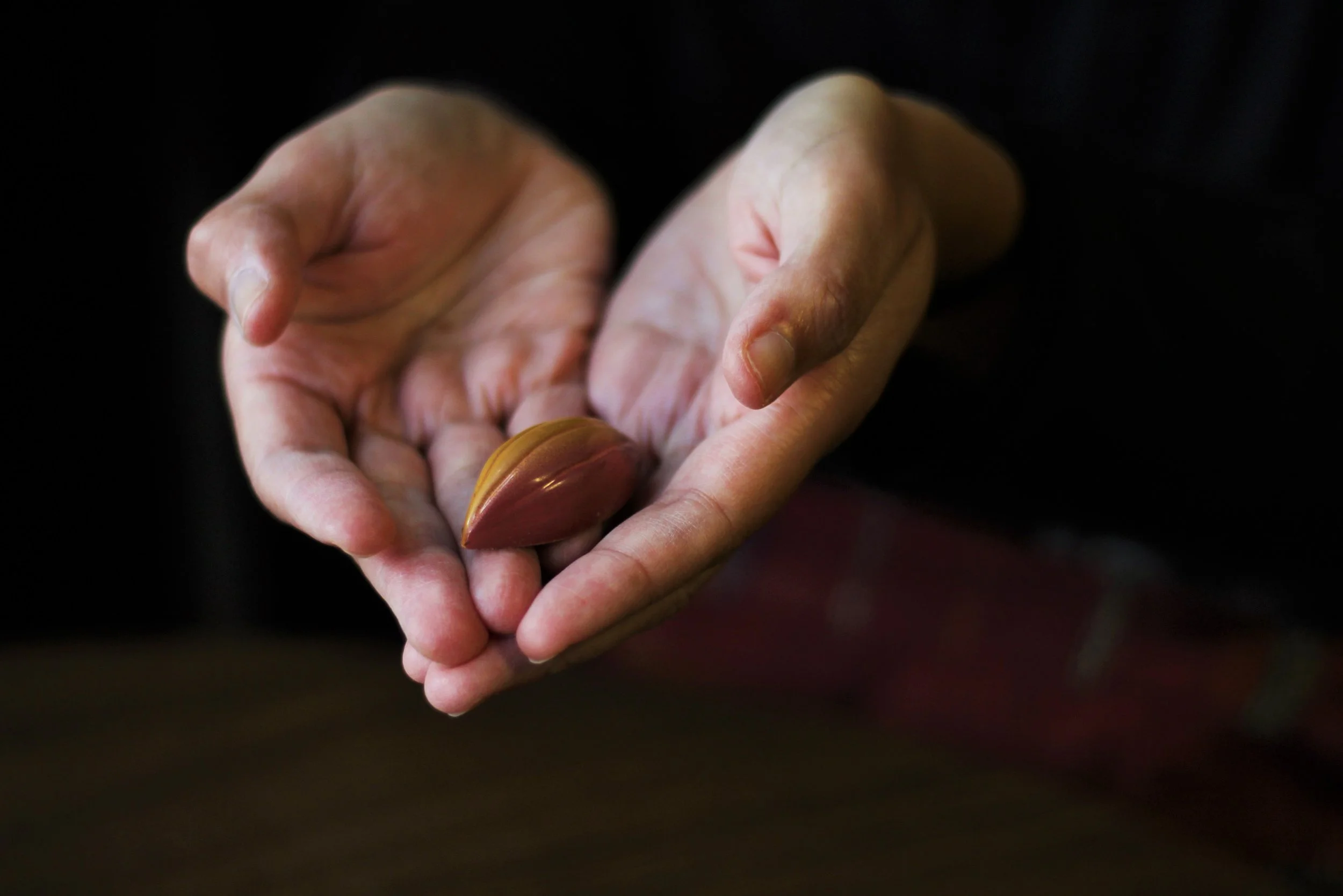 Media Relations for Craft Chocolate Makers: Why You Need A Media Plan