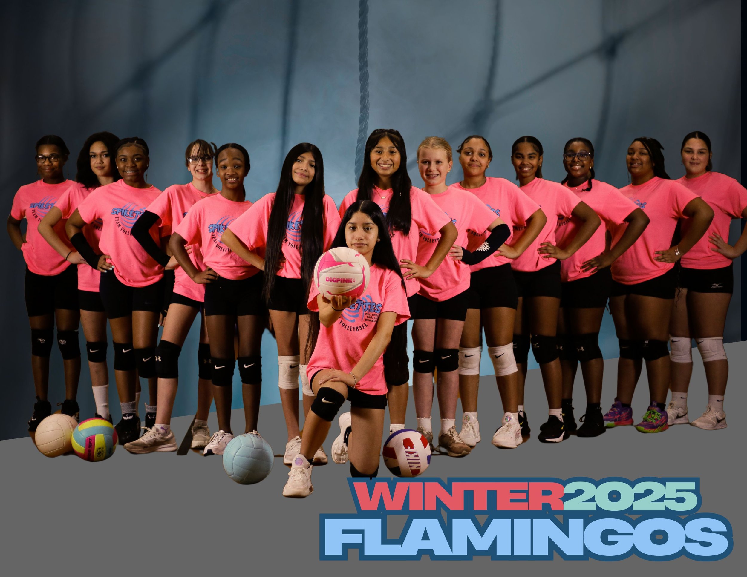 Flamingos.jpg