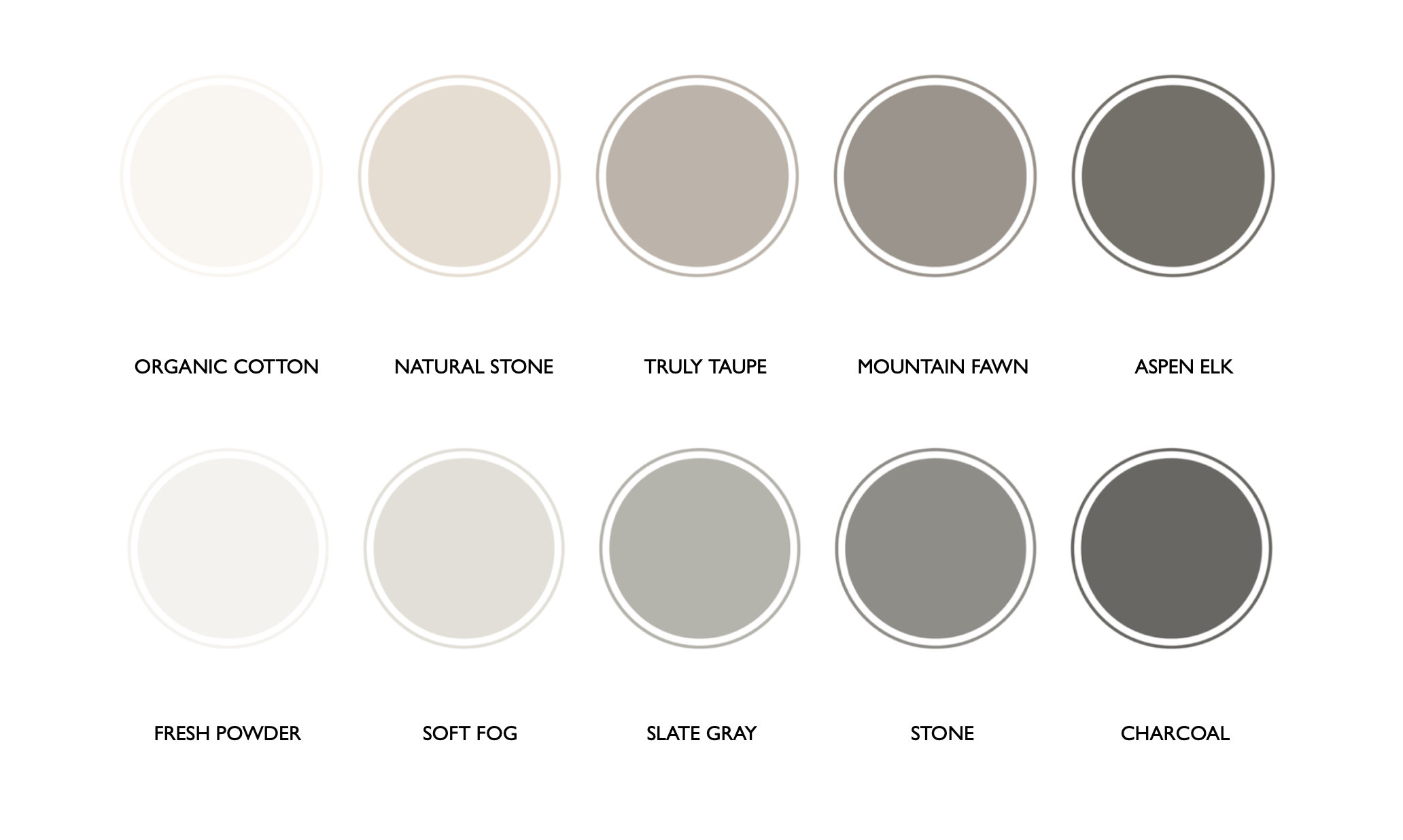 Brand Identity