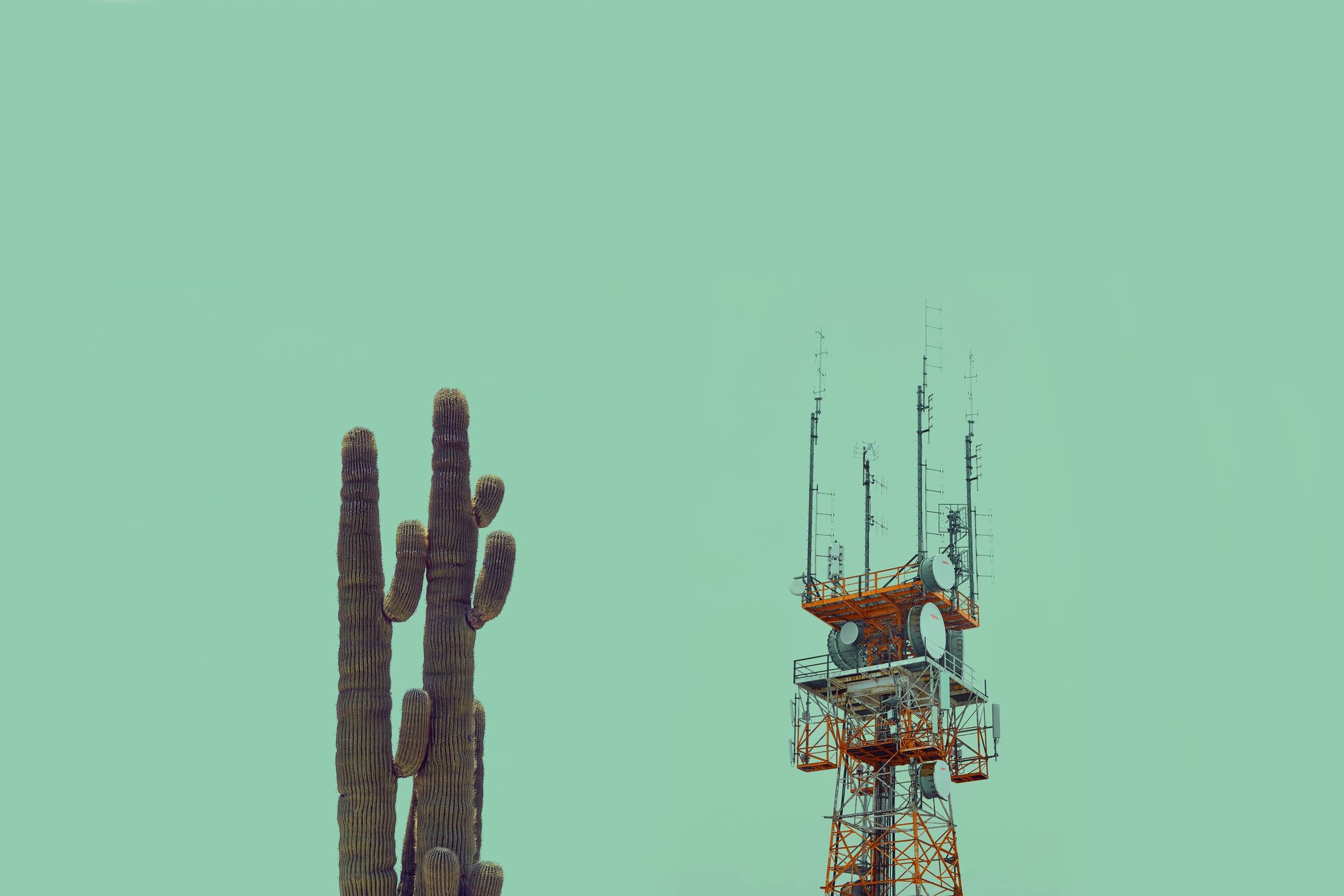 CACTUS_ANTENNE_HIRES_V2_LIV (Copy).jpg