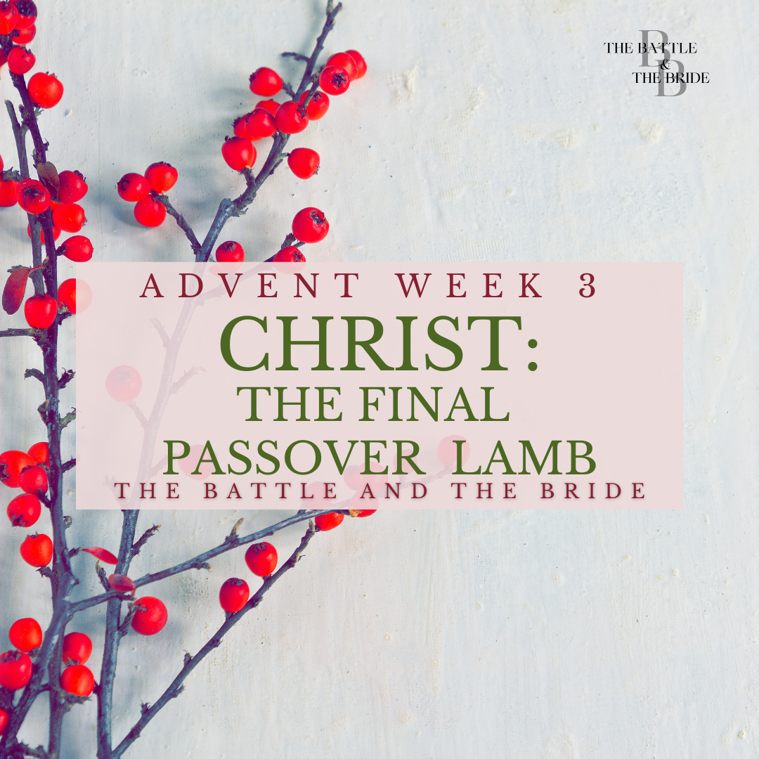 Christ: The Final Passover Lamb