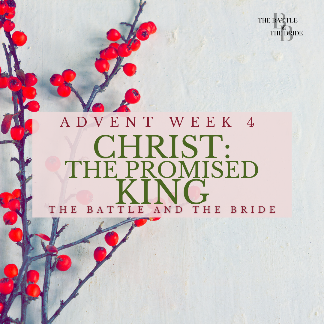 Christ: The Promised King