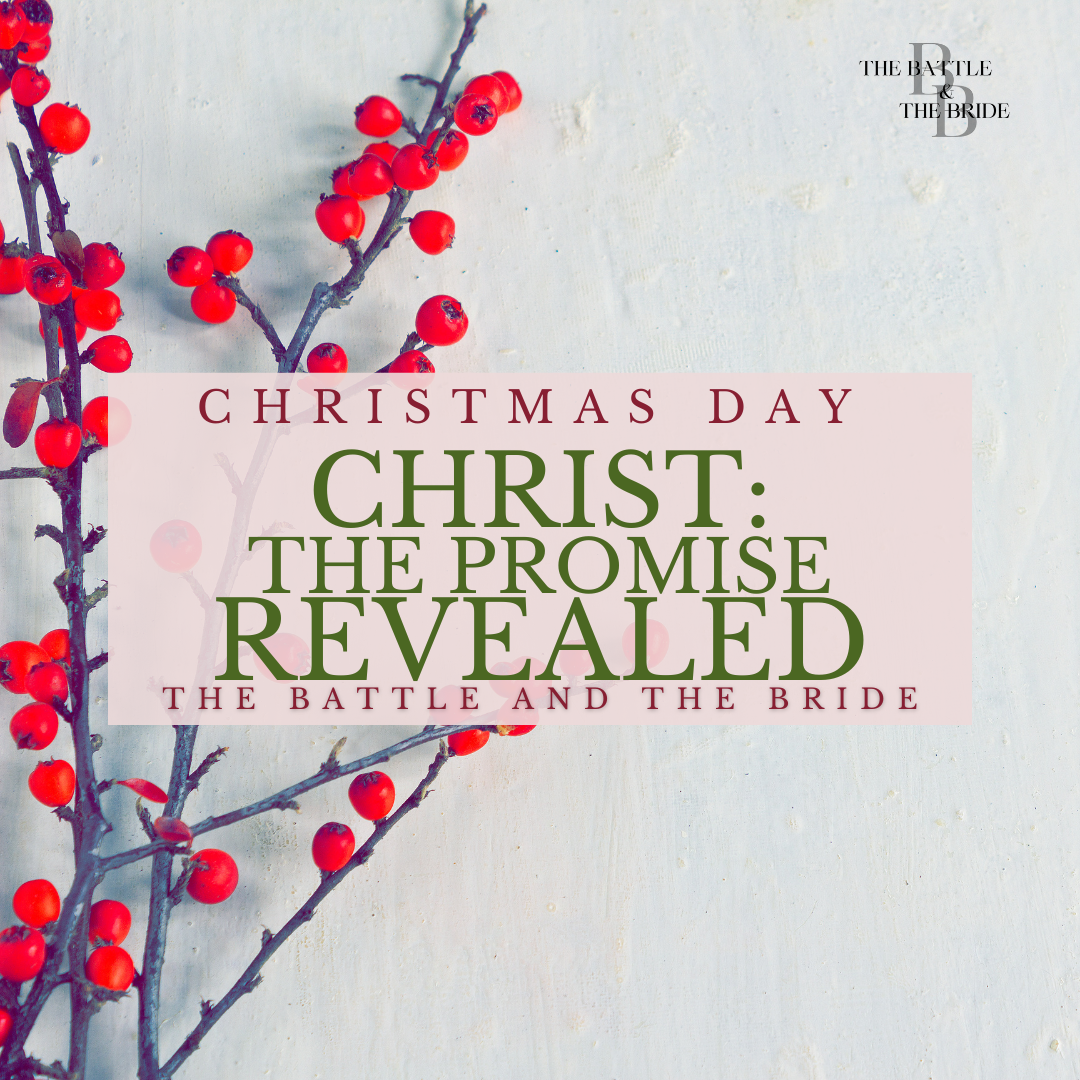Christ: The Promise Revealed
