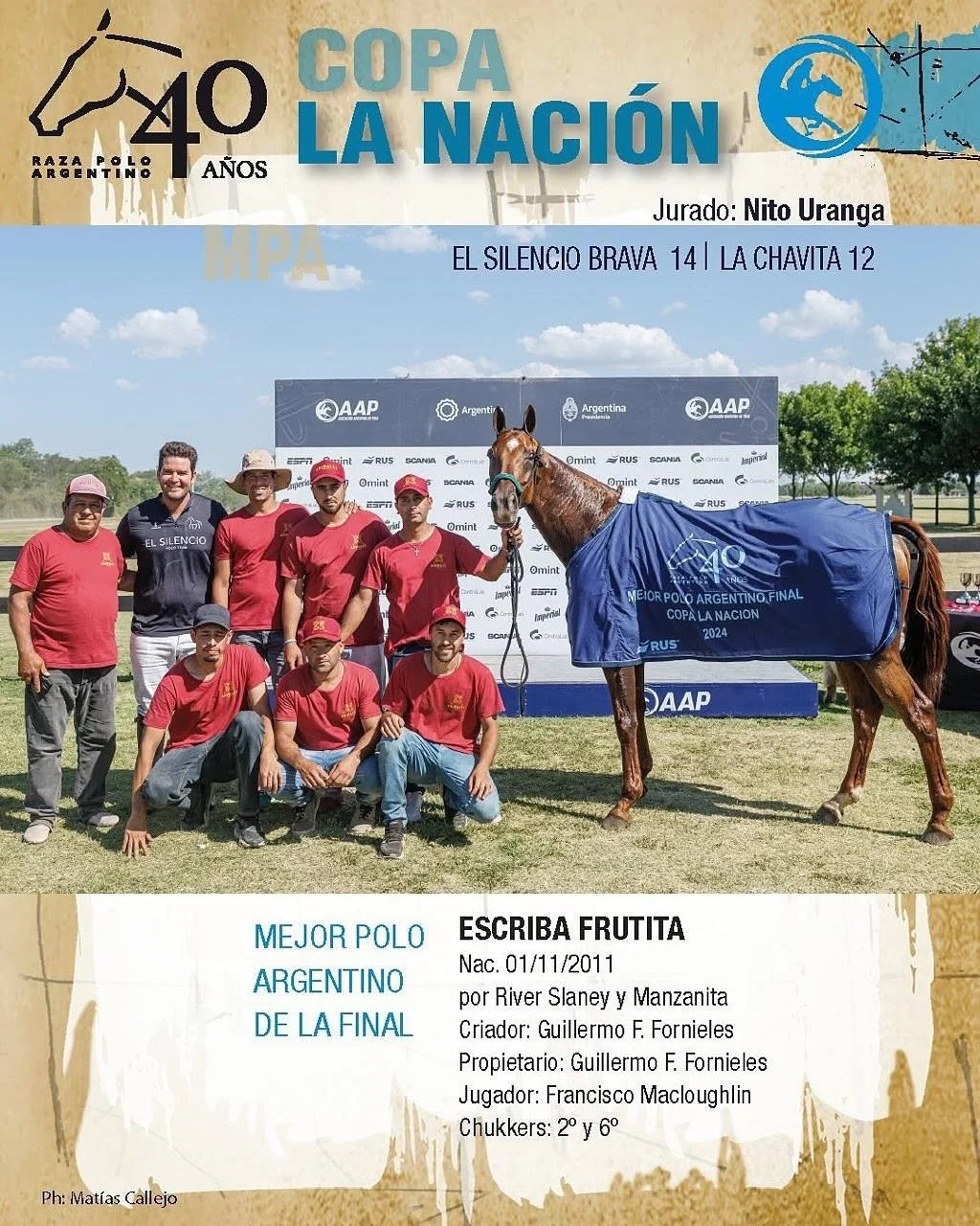 BEST PLAYING PONY (BPP)

🐴 Escriba Frutita
@criapoloargentino

#copanacion #elsilenciopolo #glascornpolo