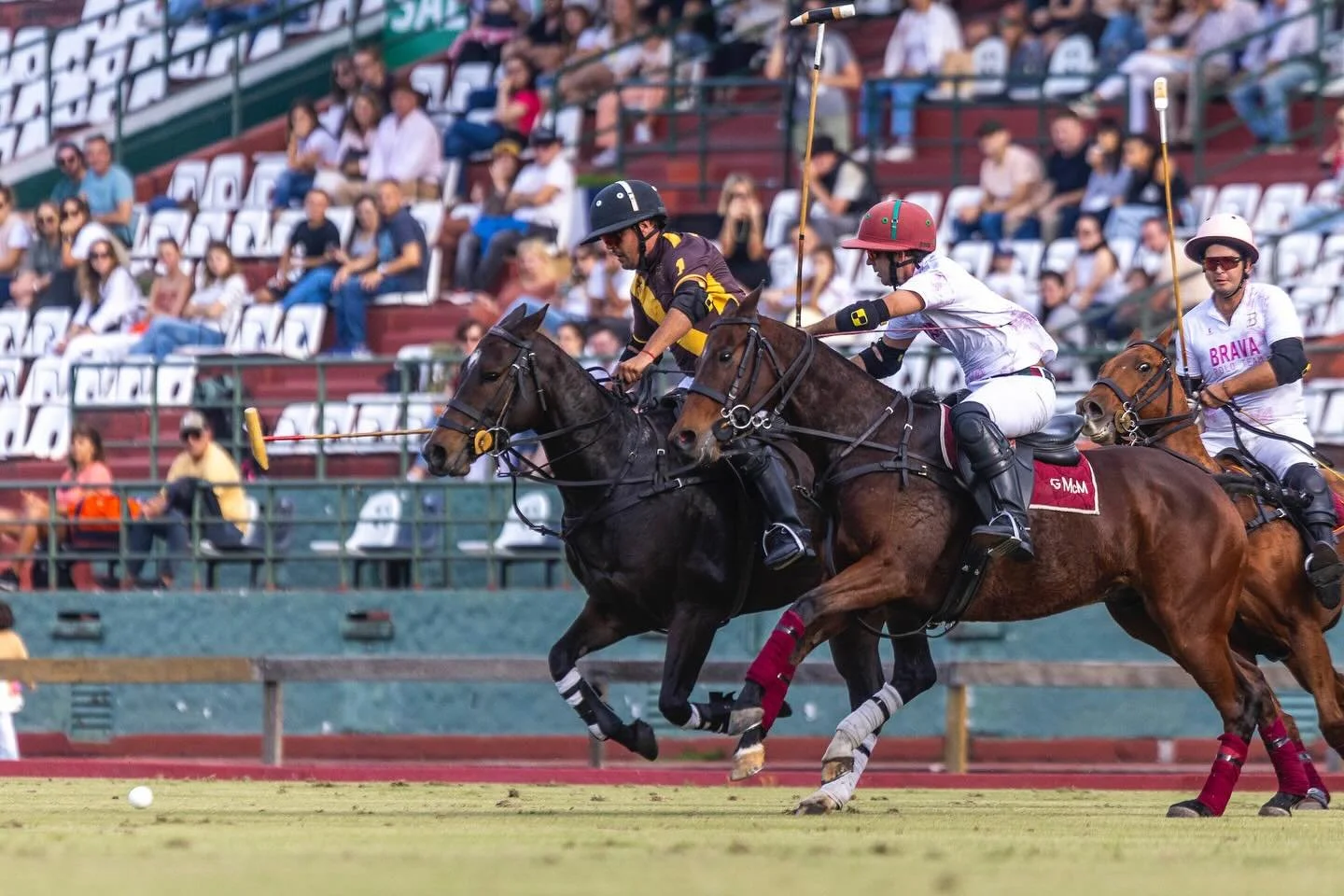 Polo de alto vuelo en la Catedral del Polo, el tan so&ntilde;ado Palermo

⚔️ El Silencio Brava vs Venado Tuerto
🏆 Copa Rep&uacute;blica Argentina

@glascornpolo @elsilenciopolo @bravapoloteam @poloclubvt

📸 @lupeaizaga

#coparepublica2024 #coparepu