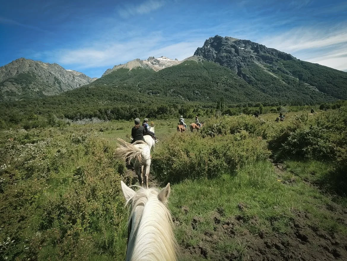 horseback riding.jpg