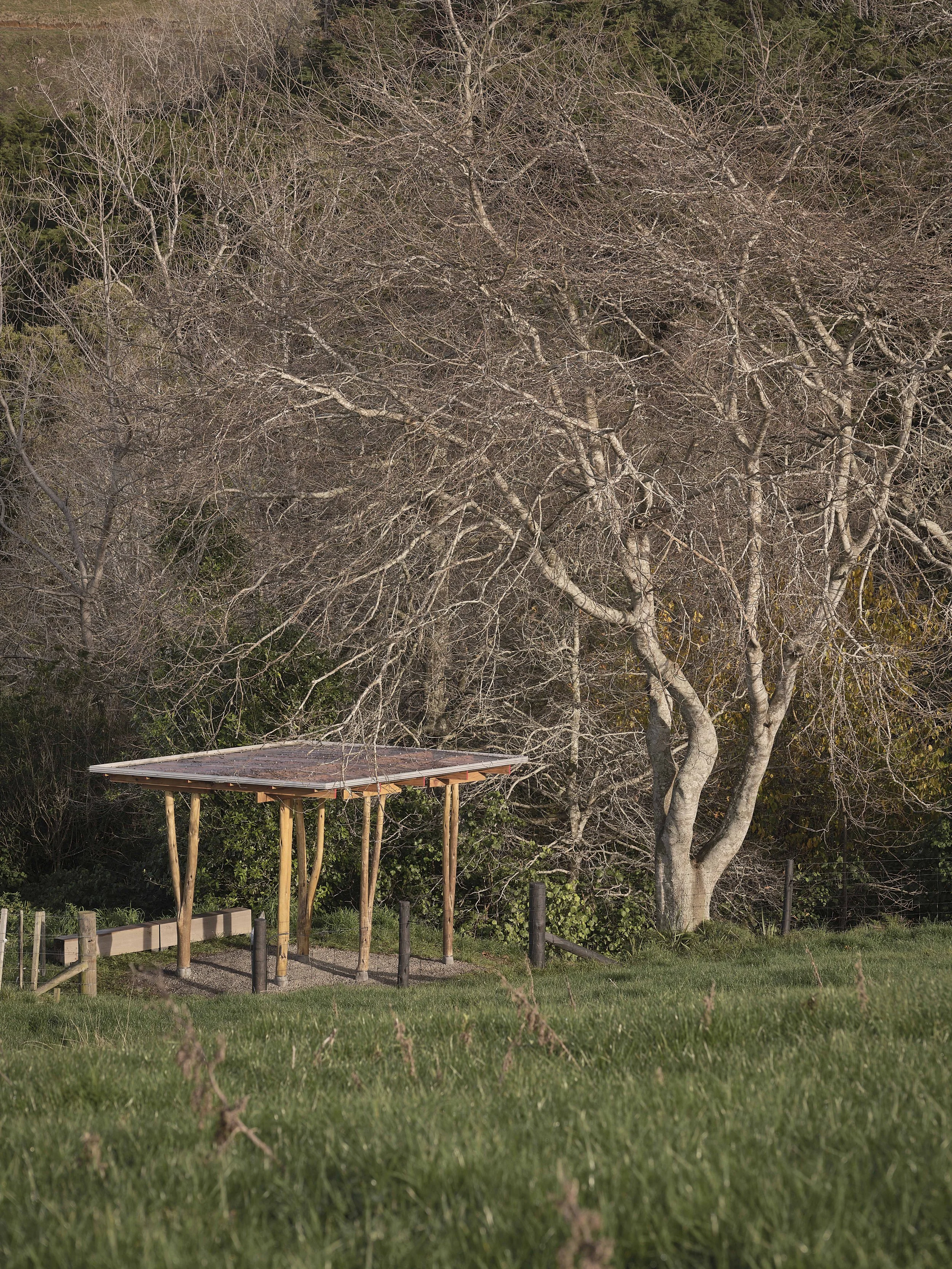 01_Hero_Sam Hartnettt.jpg