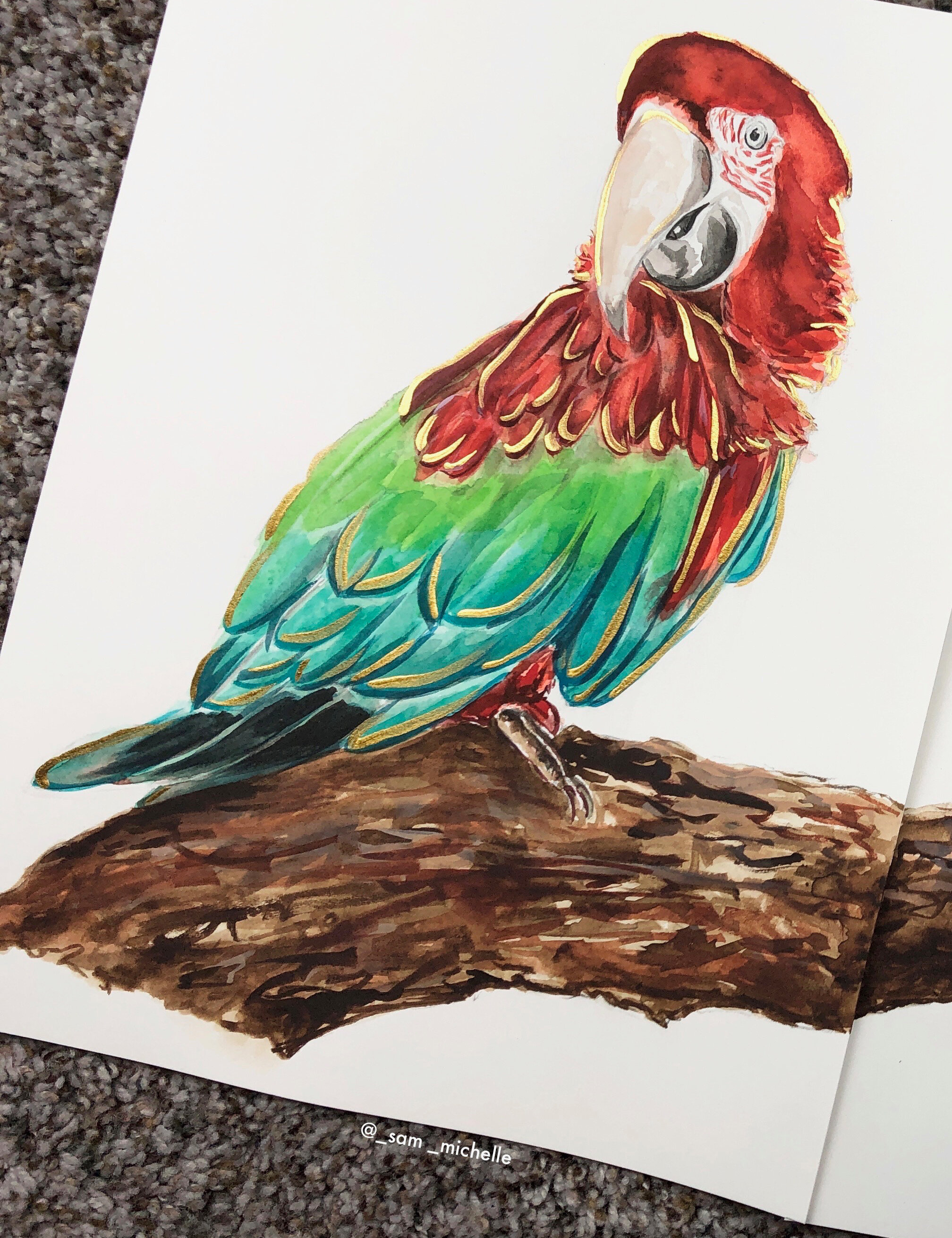 Red-and-Green-Macaws-1_01.jpg