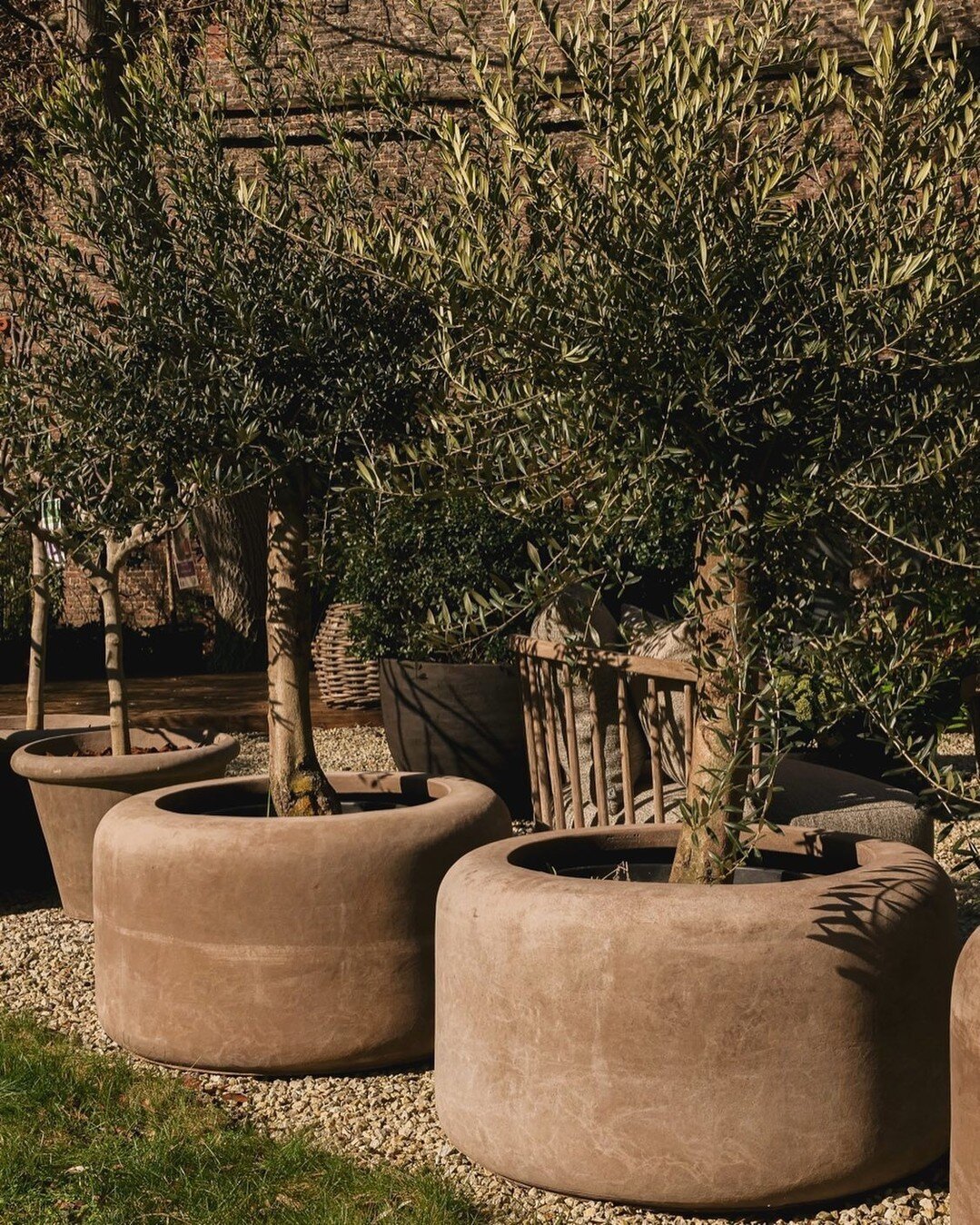 So.. I'm really going to need one of these pots. Best get myself a mature olive while I'm at it. 🌳 😍⁠
⁠
📸 via @de.borght⁠
⁠
#gardengrowntrees #morningtonpeninsula #olivetrees #matureolives #olivegrove #exorchardolives #landscapedesignideas #planti