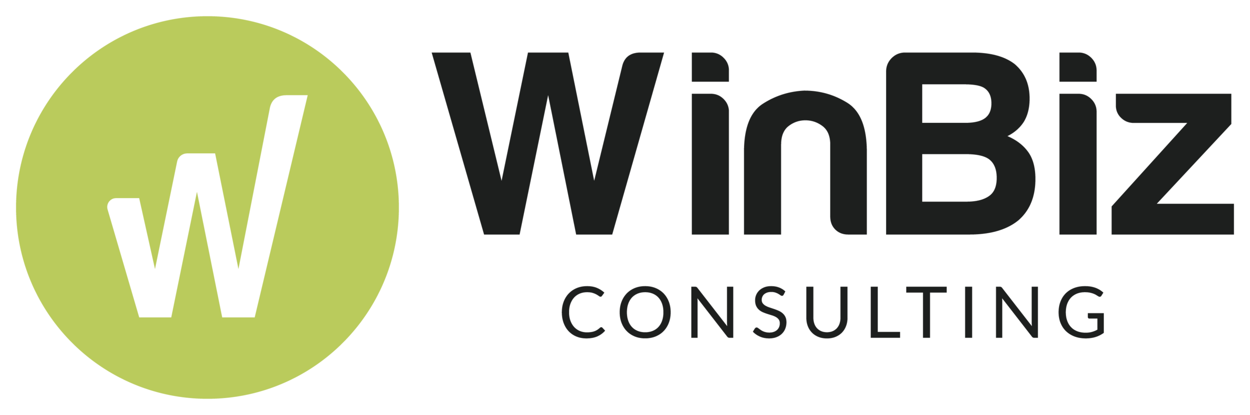 WinBiz Consulting