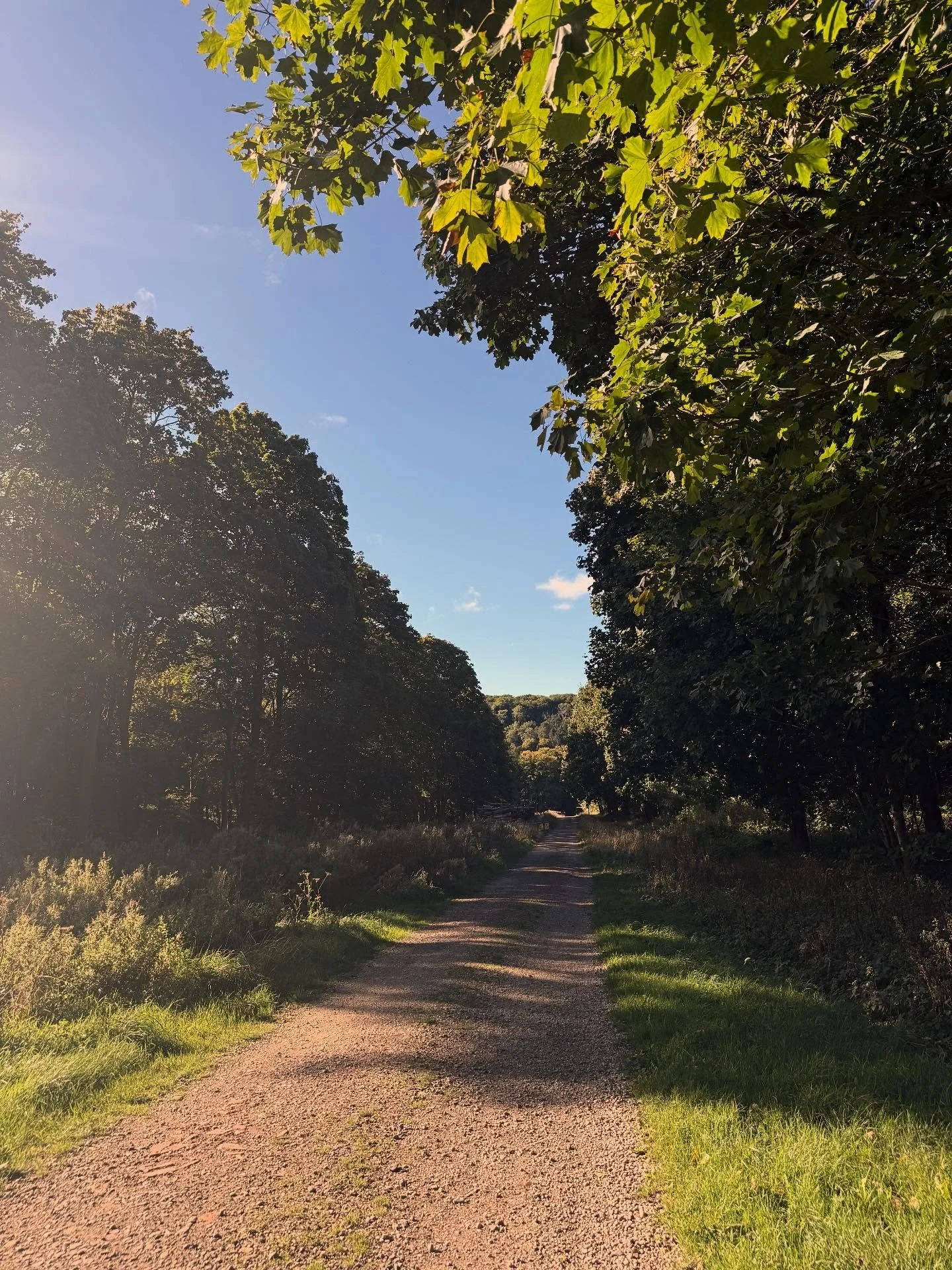 So good to be back running again 🌿🏃&zwj;♀️
 Earlier this year after the #brightonhalf I was hit with patellofemoral pain syndrome (vague diagnosis after lots of mixed opinions)😣 It stopped me running for months&hellip; but I took matters into my o