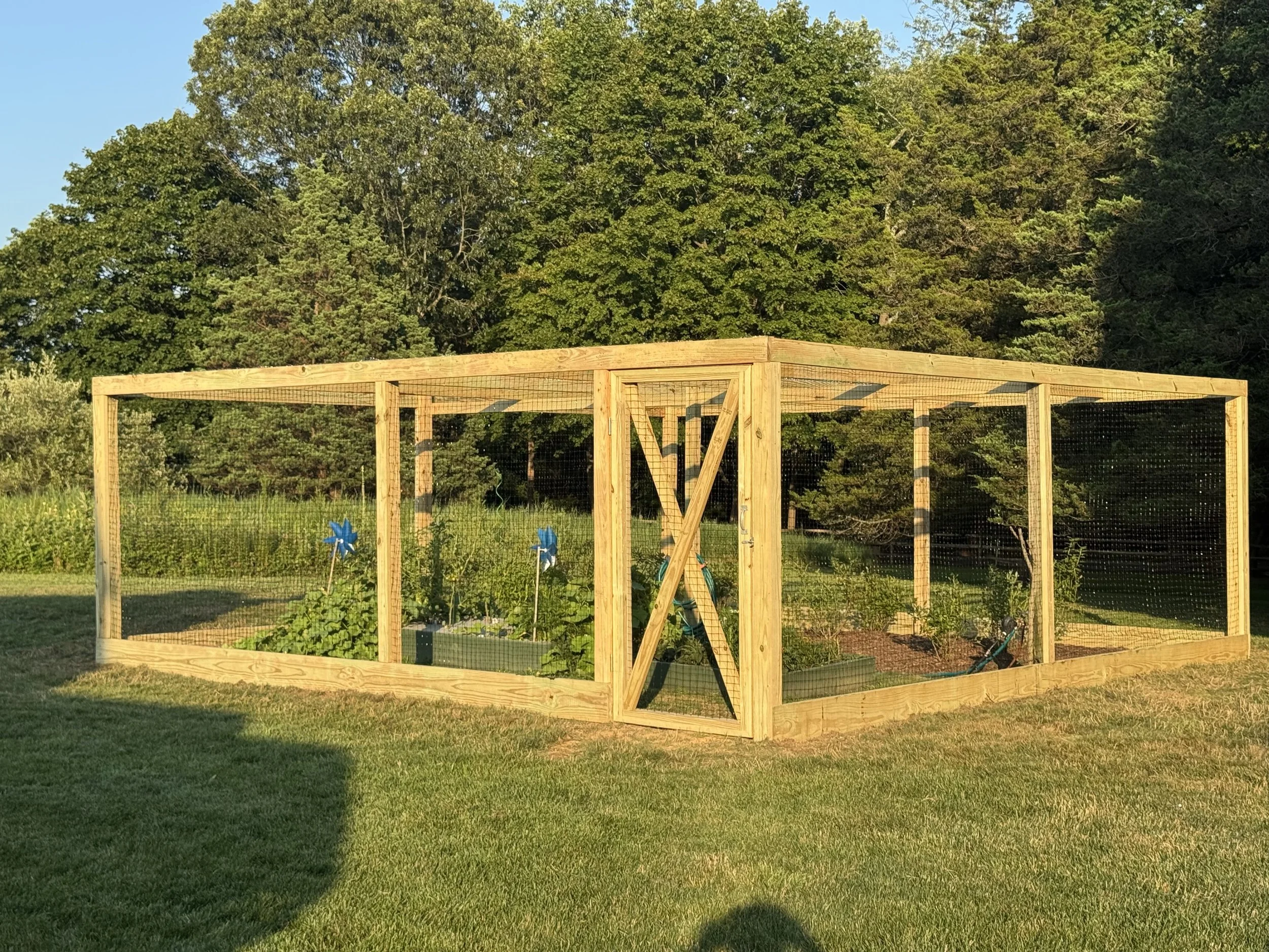 garden enclosure.jpg